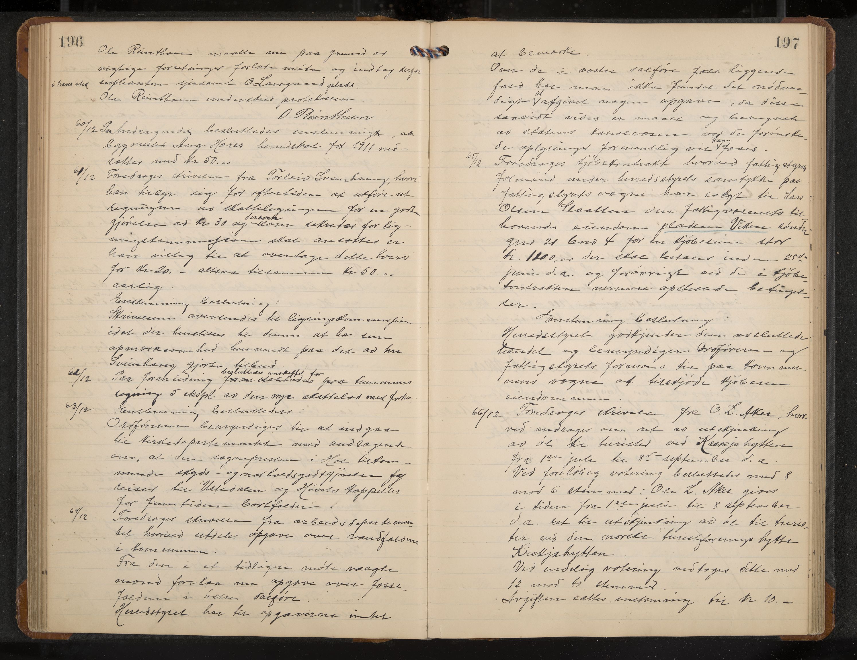 Hol formannskap og sentraladministrasjon, IKAK/0620021-1/A/L0005: Møtebok, 1909-1915, p. 196-197