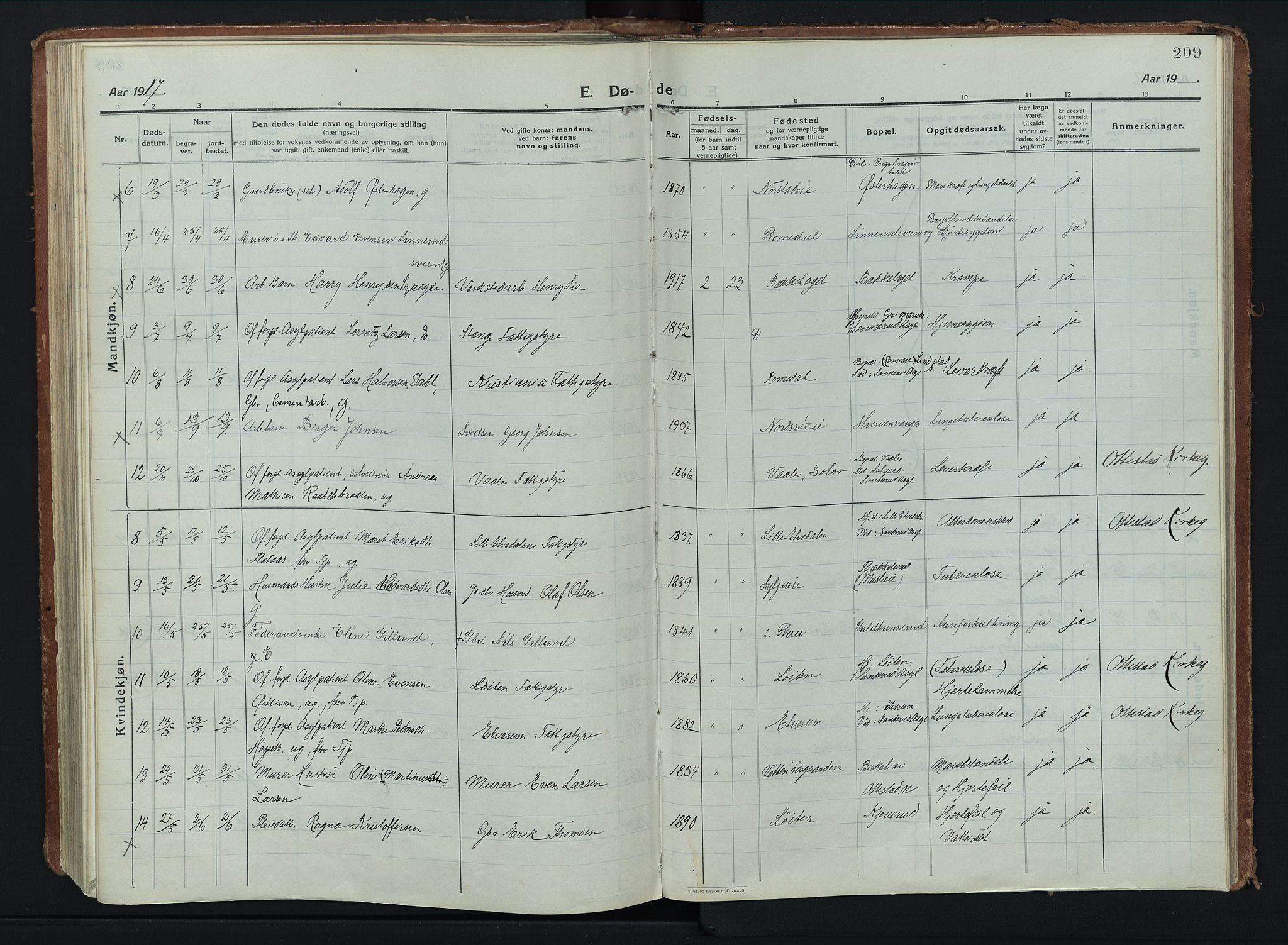 Stange prestekontor, AV/SAH-PREST-002/K/L0028: Parish register (official) no. 28, 1913-1932, p. 209