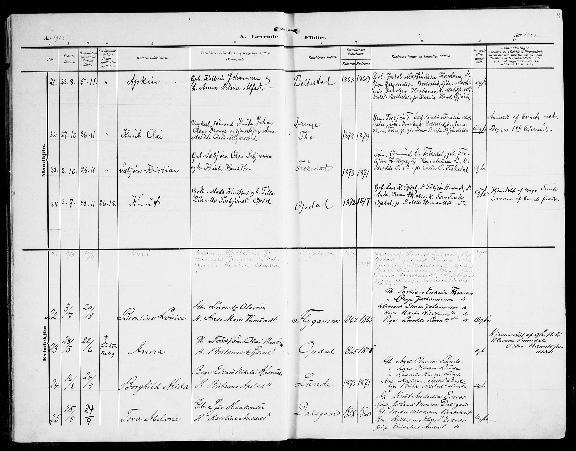 Tysnes sokneprestembete, SAB/A-78601/H/Haa: Parish register (official) no. D 2, 1905-1922, p. 8