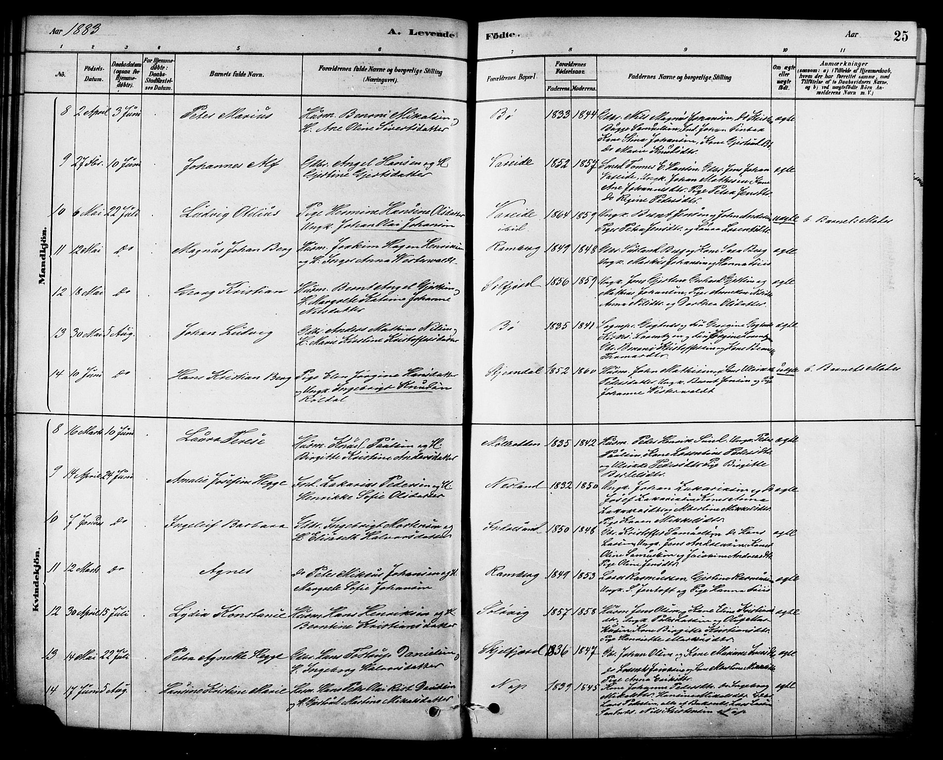 Ministerialprotokoller, klokkerbøker og fødselsregistre - Nordland, AV/SAT-A-1459/885/L1204: Parish register (official) no. 885A05, 1878-1892, p. 25