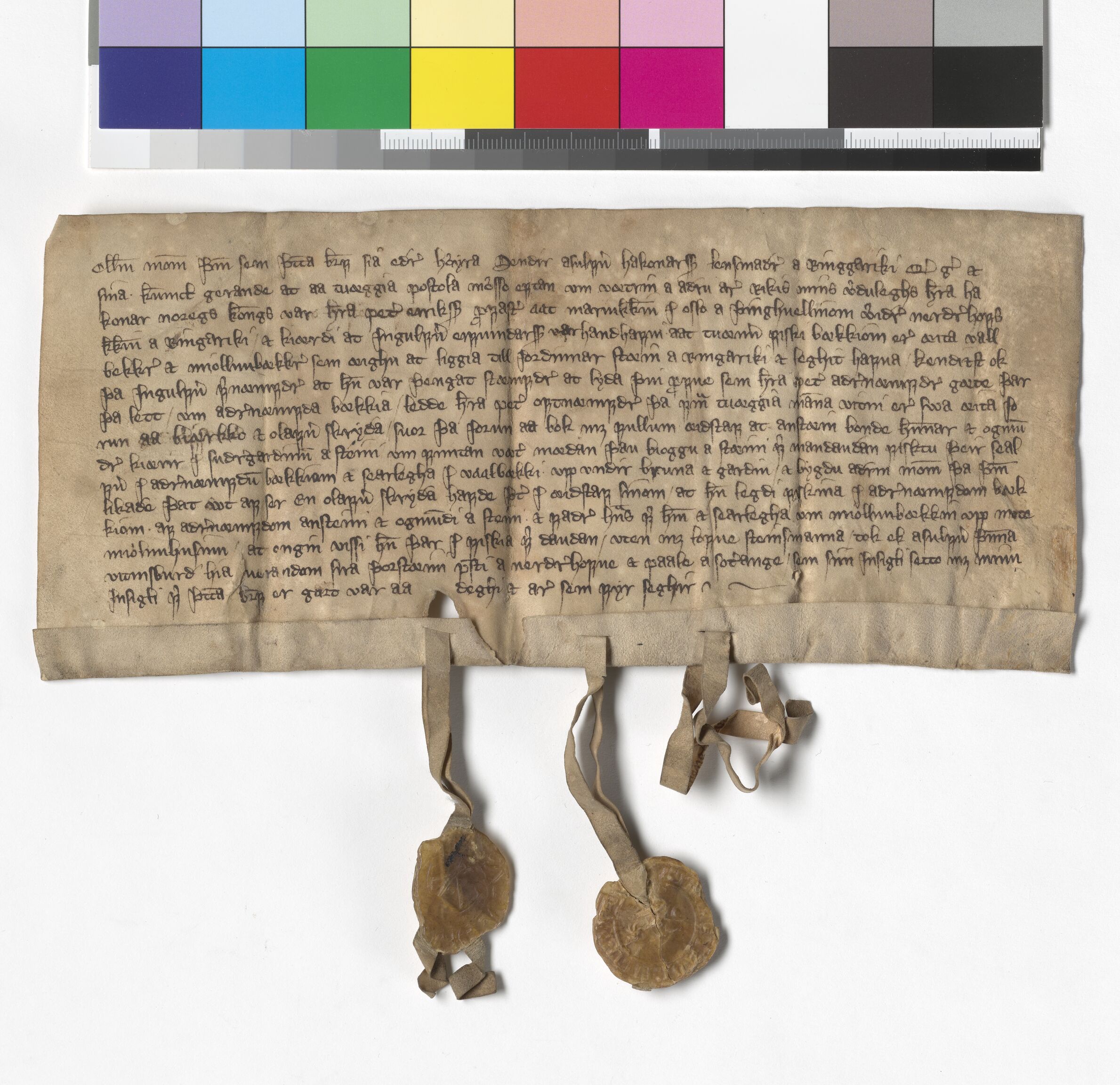 Riksarkivets diplomsamling, AV/RA-EA-5965/F05/L0170: NRA AM fasc. 68 nr. 3-6, 1356-1357, p. 2