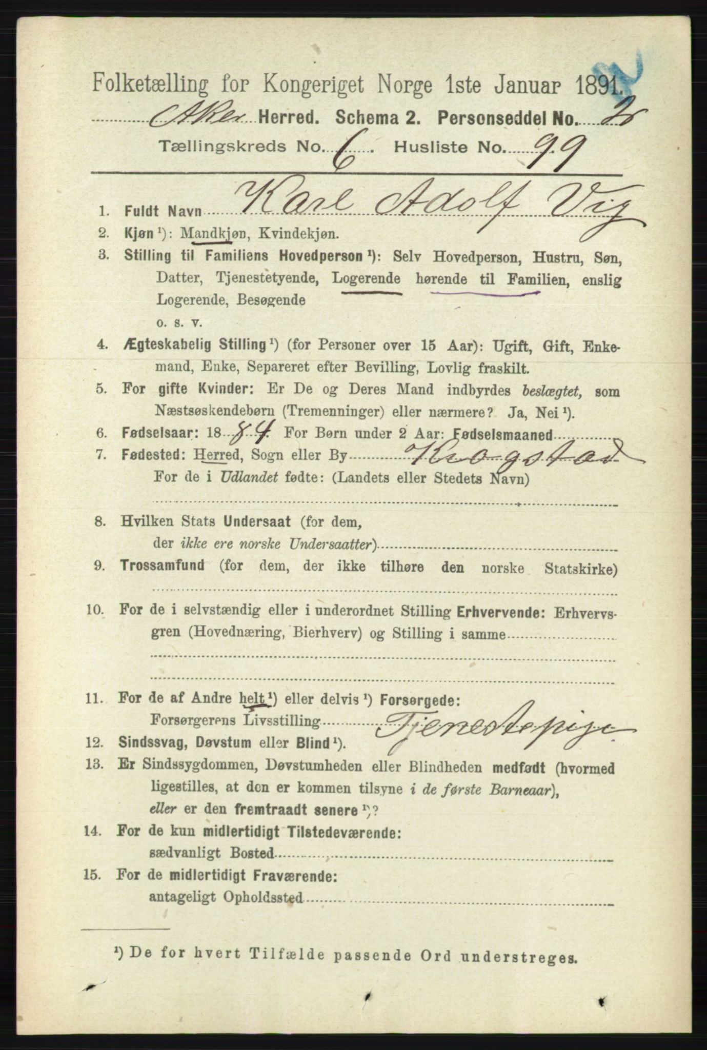 RA, 1891 census for 0218 Aker, 1891, p. 6132