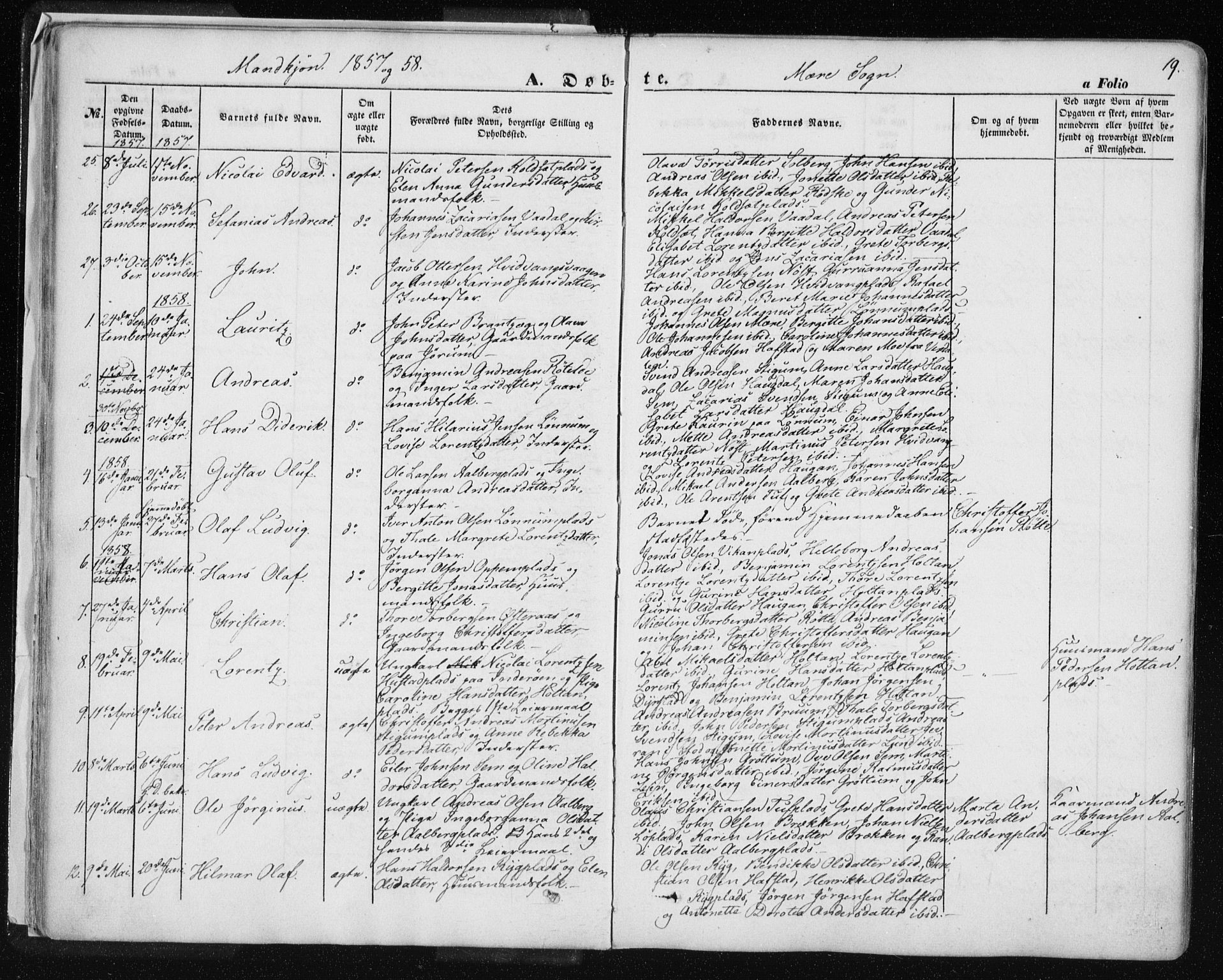 Ministerialprotokoller, klokkerbøker og fødselsregistre - Nord-Trøndelag, AV/SAT-A-1458/735/L0342: Parish register (official) no. 735A07 /1, 1849-1862, p. 19