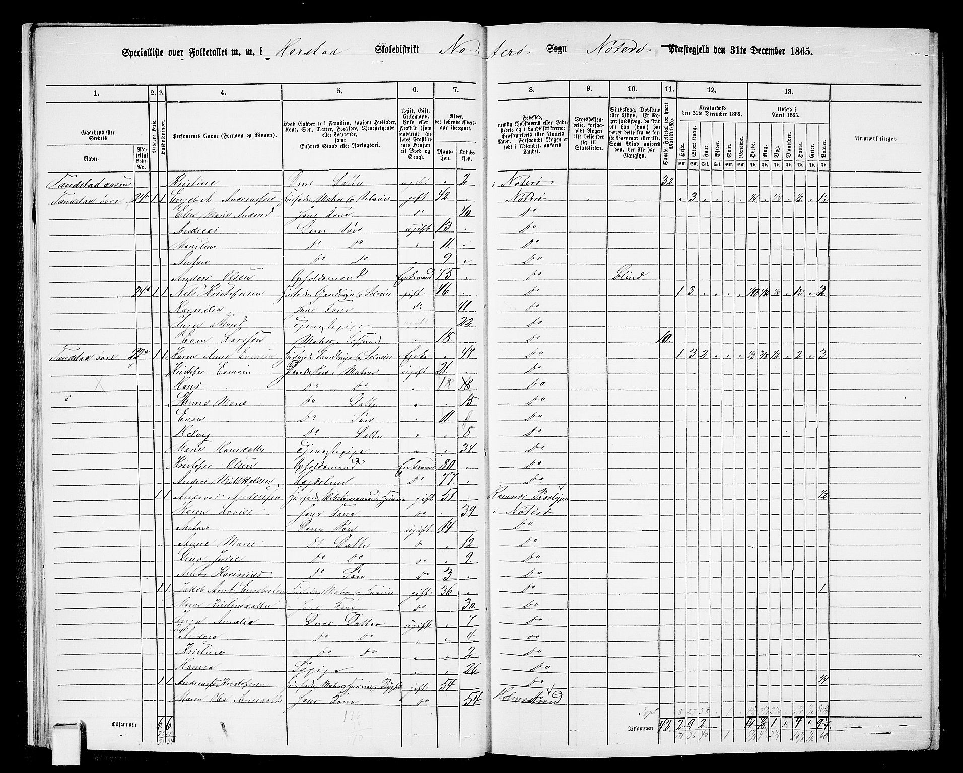 RA, 1865 census for Nøtterøy, 1865, p. 18