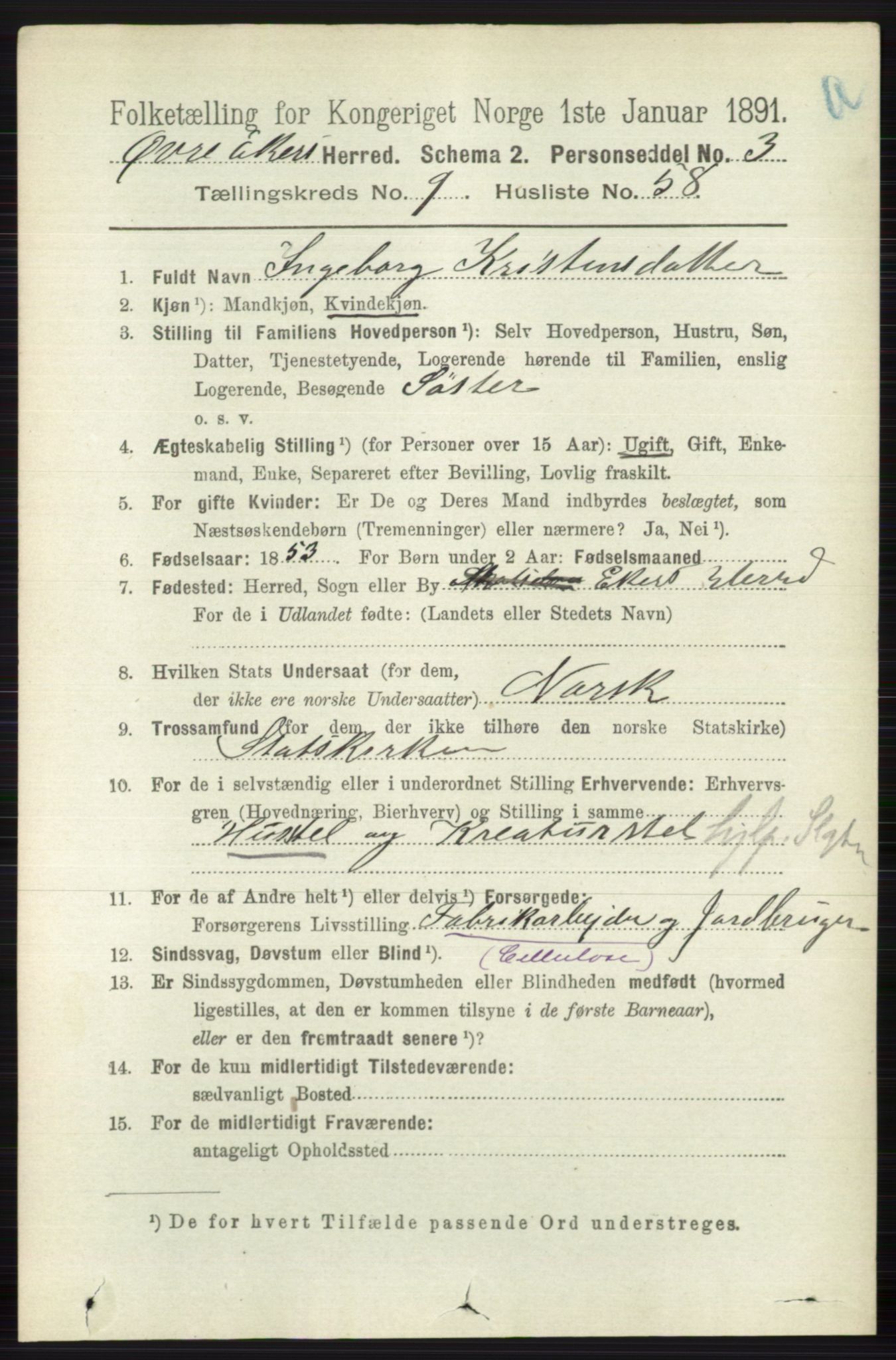 RA, 1891 census for 0624 Øvre Eiker, 1891, p. 3950