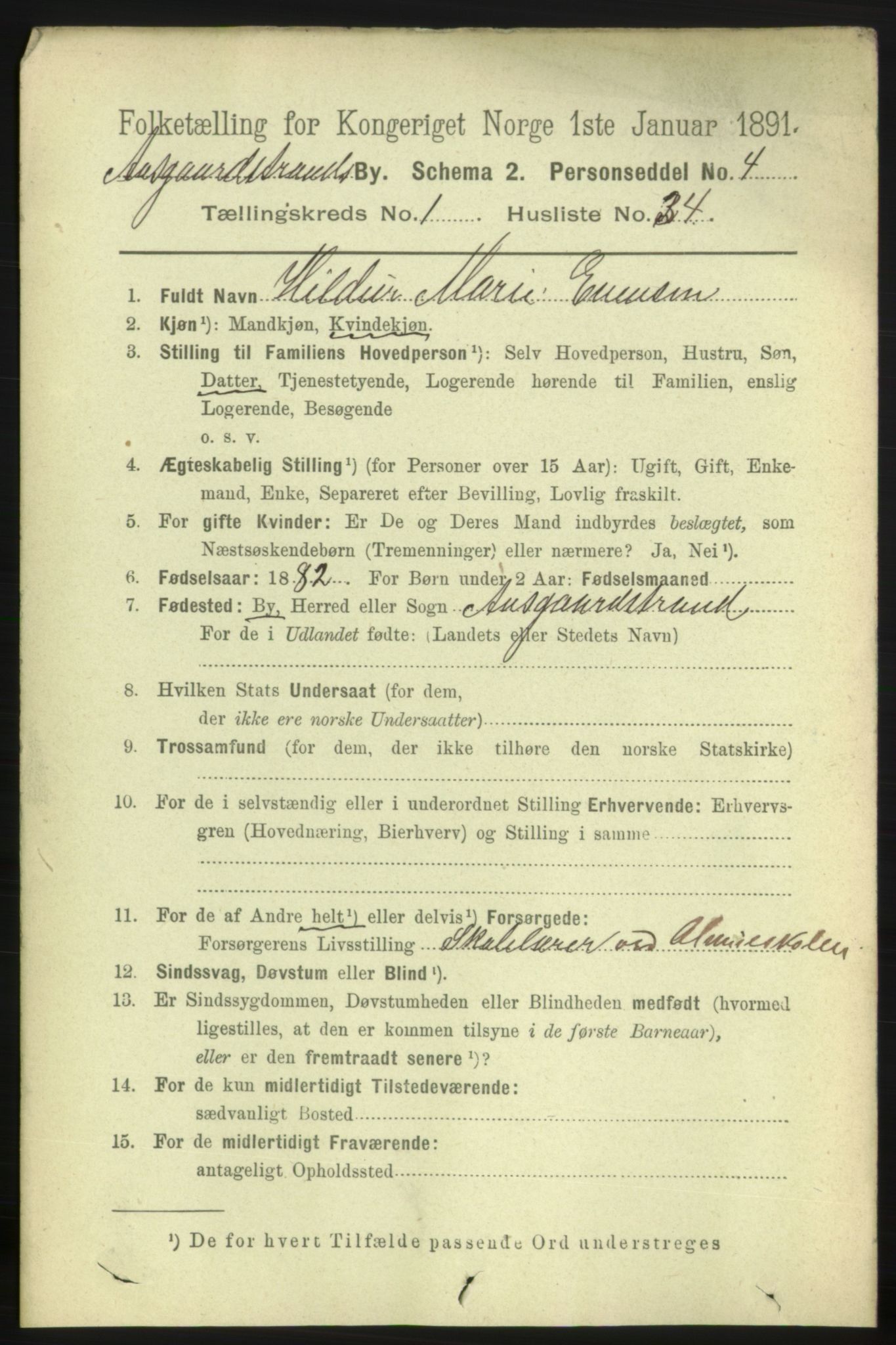 RA, 1891 census for 0704 Åsgårdstrand, 1891, p. 394