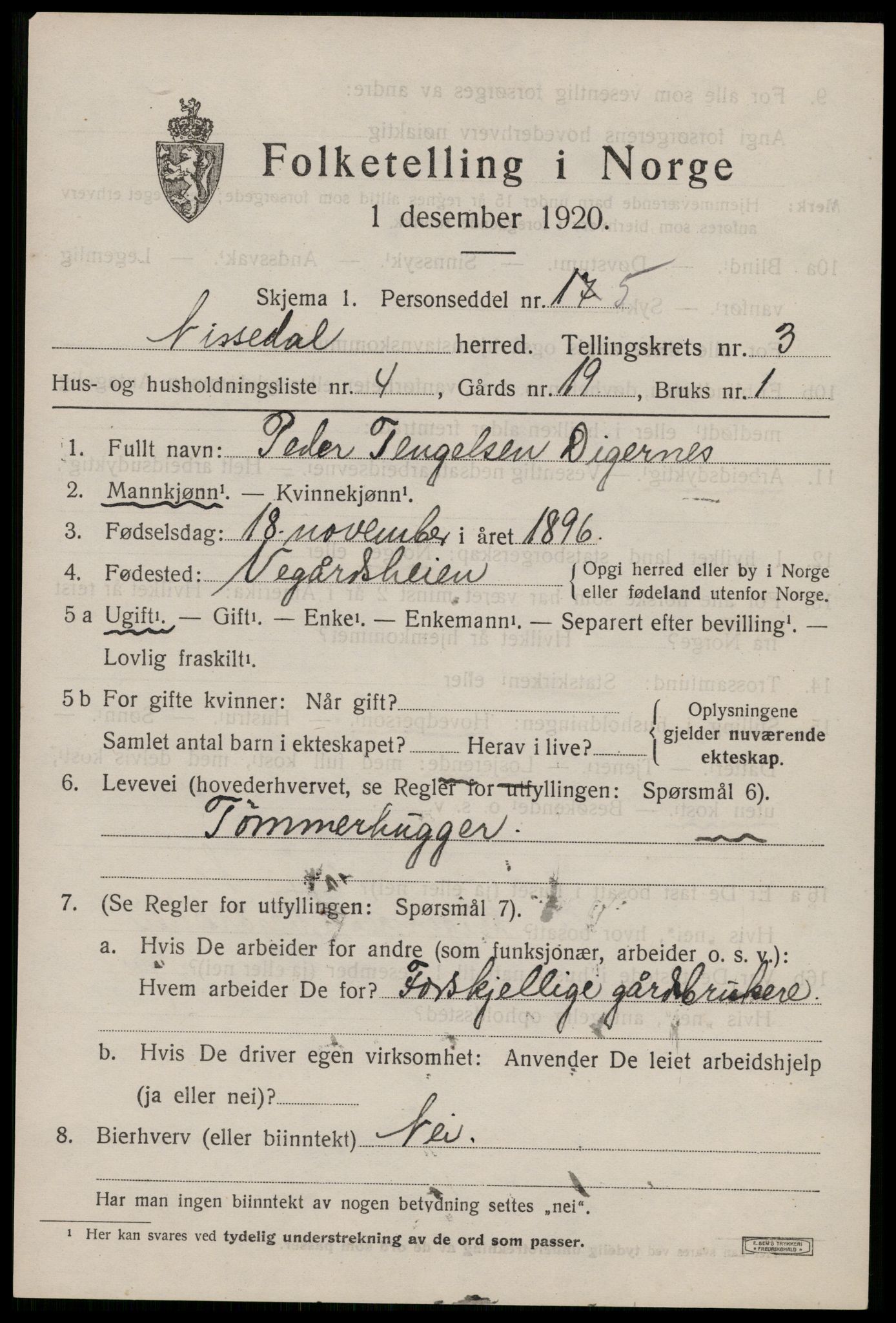 SAKO, 1920 census for Nissedal, 1920, p. 1529