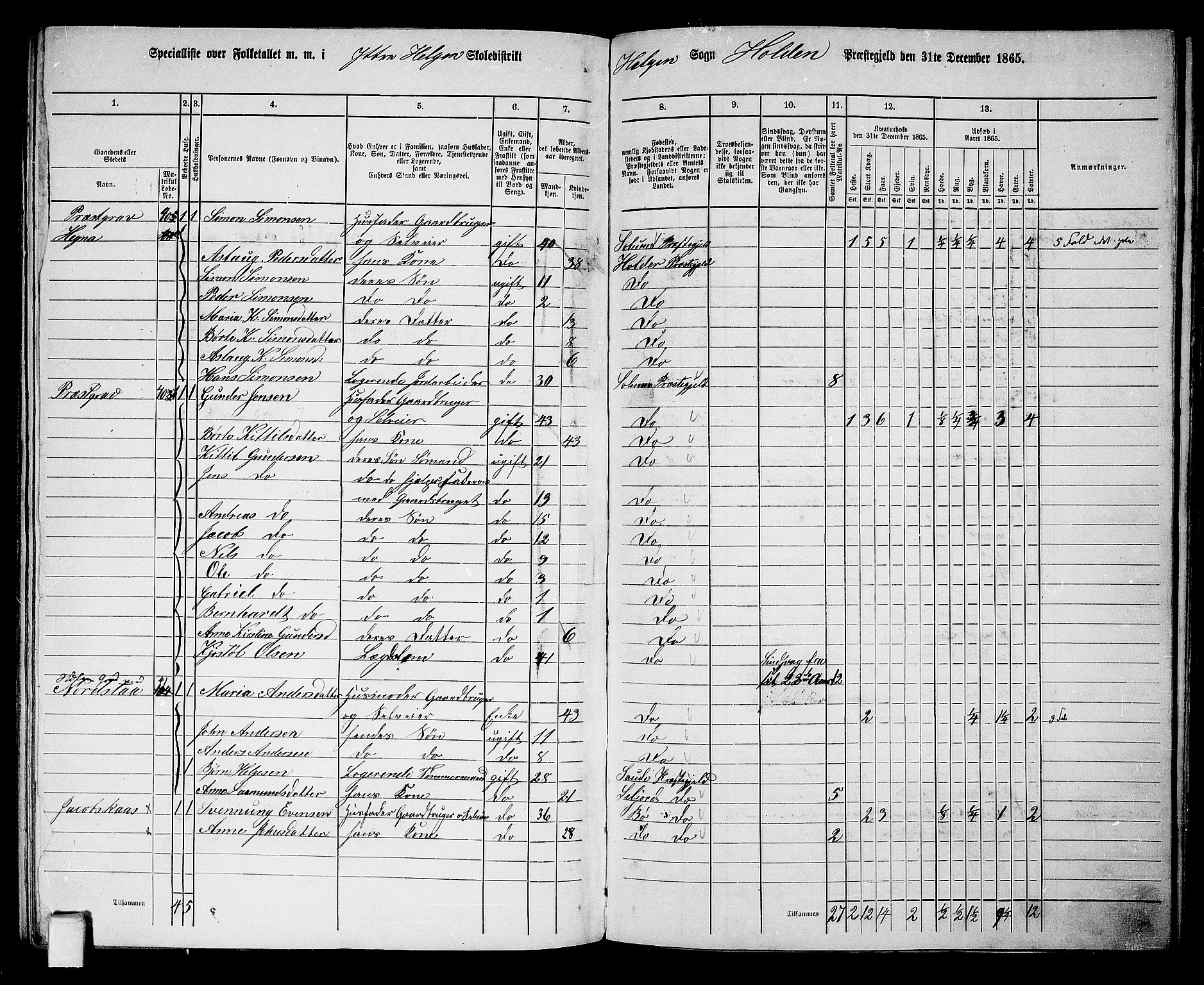 RA, 1865 census for Holla, 1865, p. 102