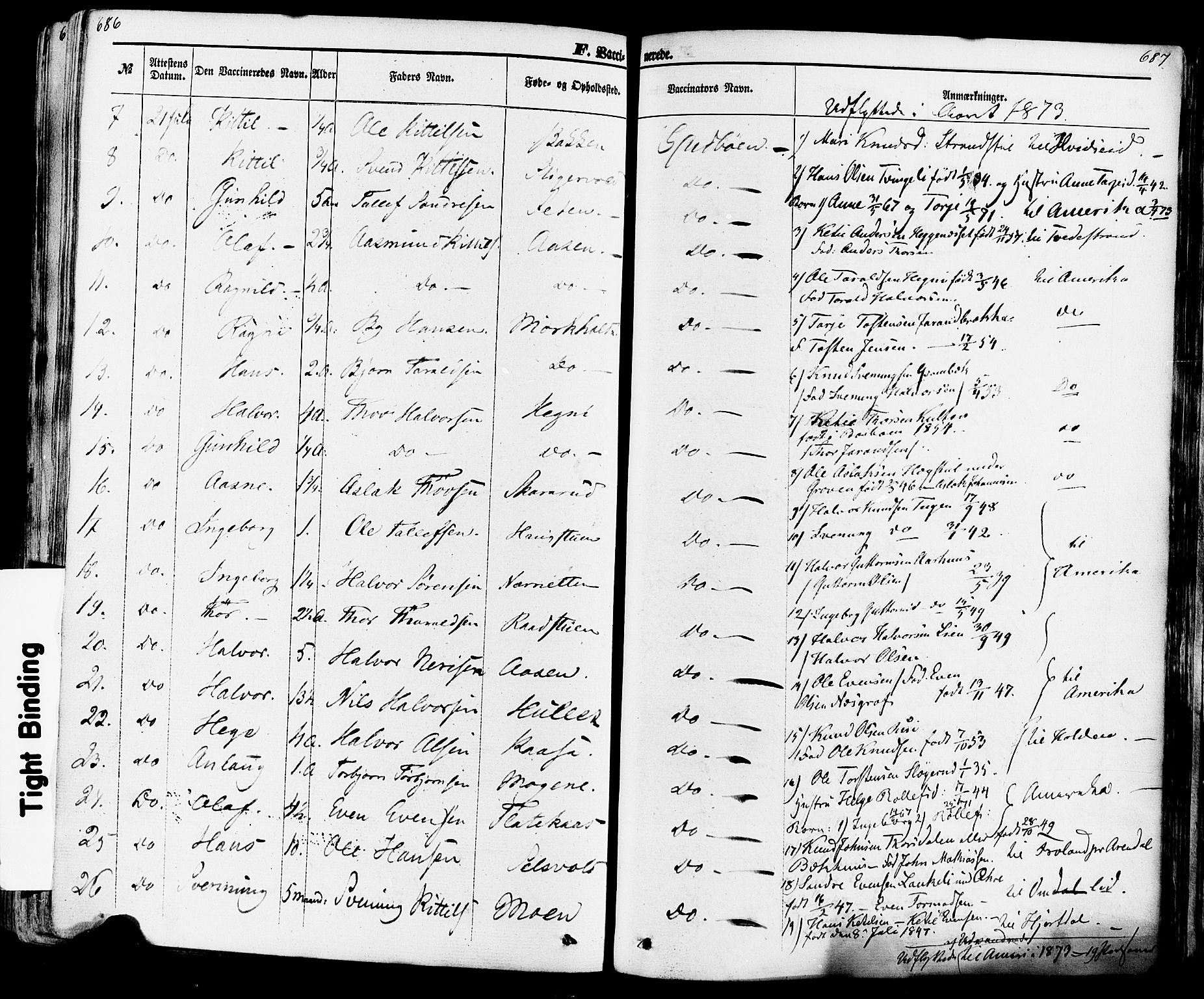Seljord kirkebøker, SAKO/A-20/F/Fa/L0013: Parish register (official) no. I 13, 1866-1876, p. 686-687