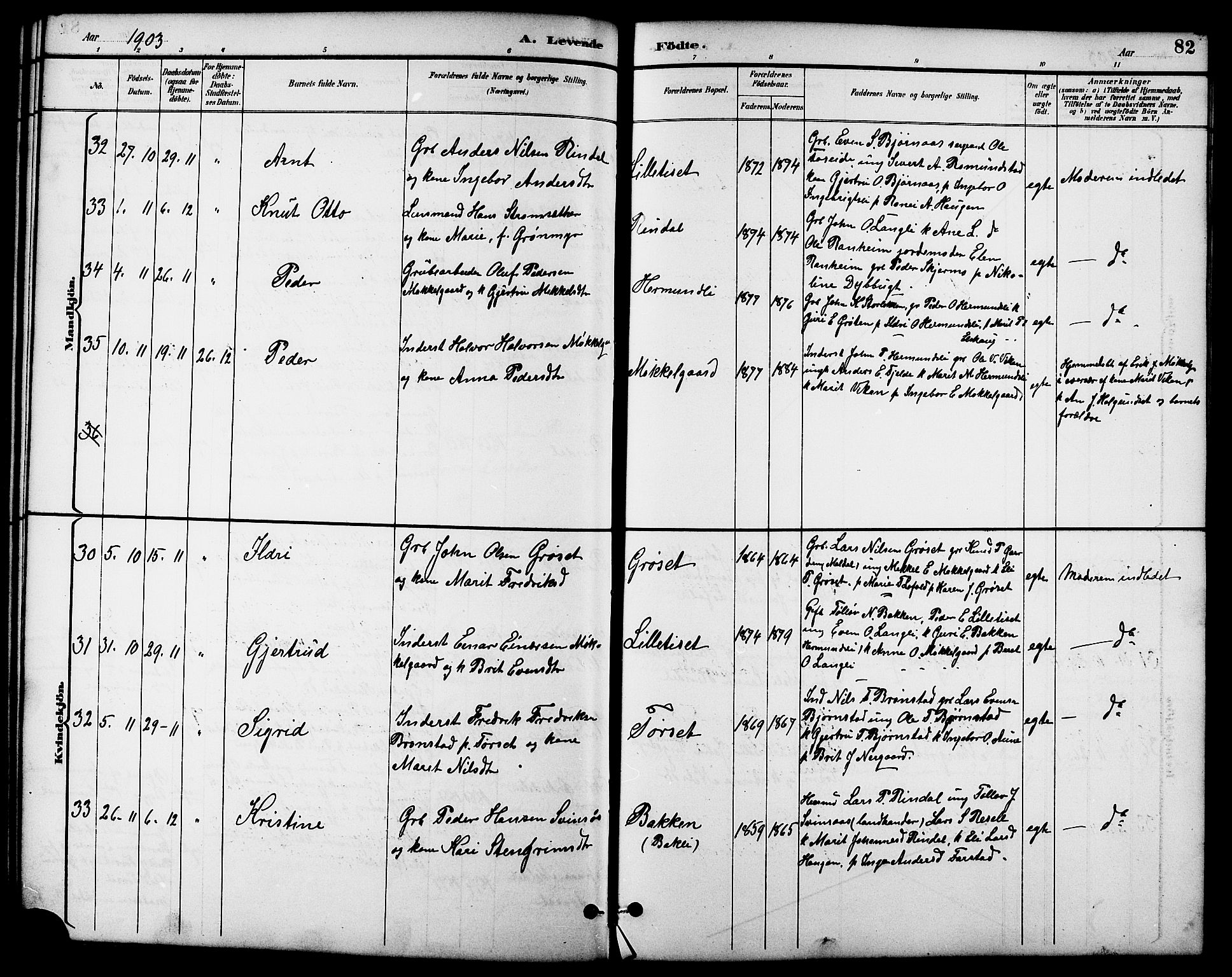 Ministerialprotokoller, klokkerbøker og fødselsregistre - Møre og Romsdal, AV/SAT-A-1454/598/L1078: Parish register (copy) no. 598C03, 1892-1909, p. 82