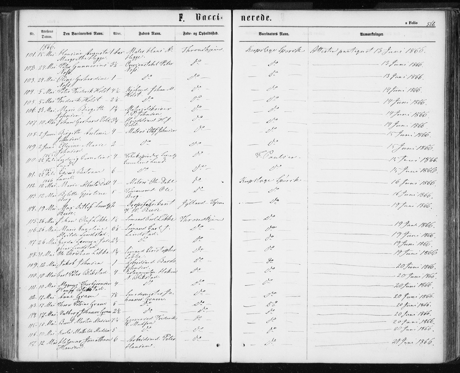 Ministerialprotokoller, klokkerbøker og fødselsregistre - Sør-Trøndelag, AV/SAT-A-1456/601/L0055: Parish register (official) no. 601A23, 1866-1877, p. 566