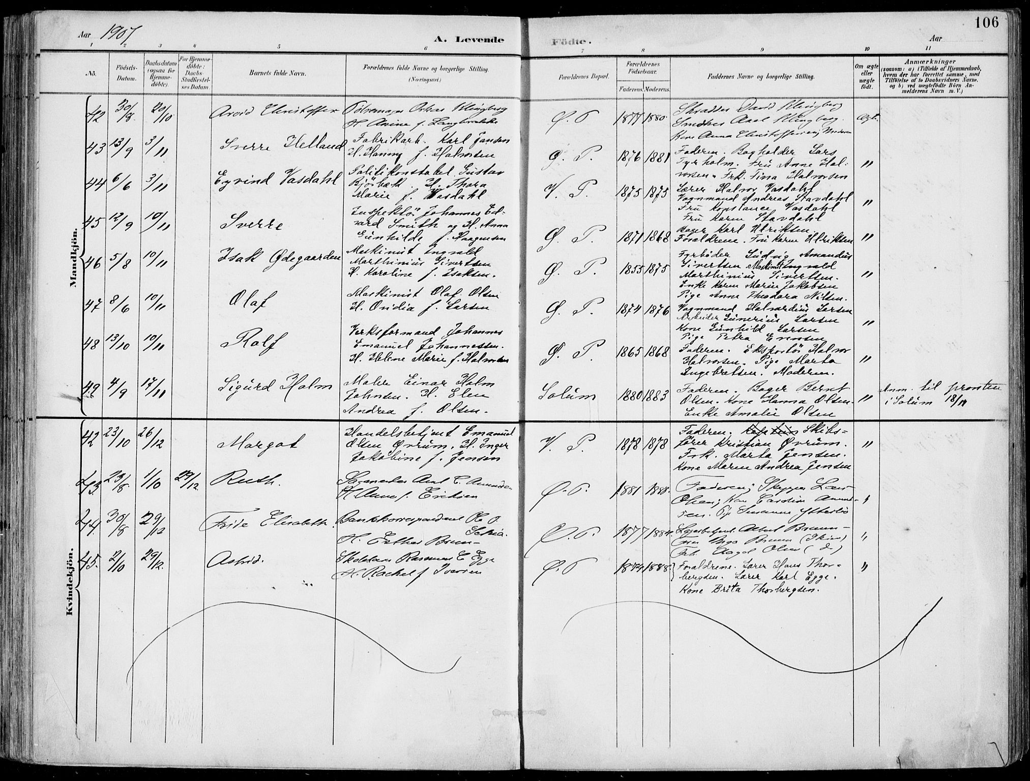 Porsgrunn kirkebøker , AV/SAKO-A-104/F/Fa/L0010: Parish register (official) no. 10, 1895-1919, p. 106