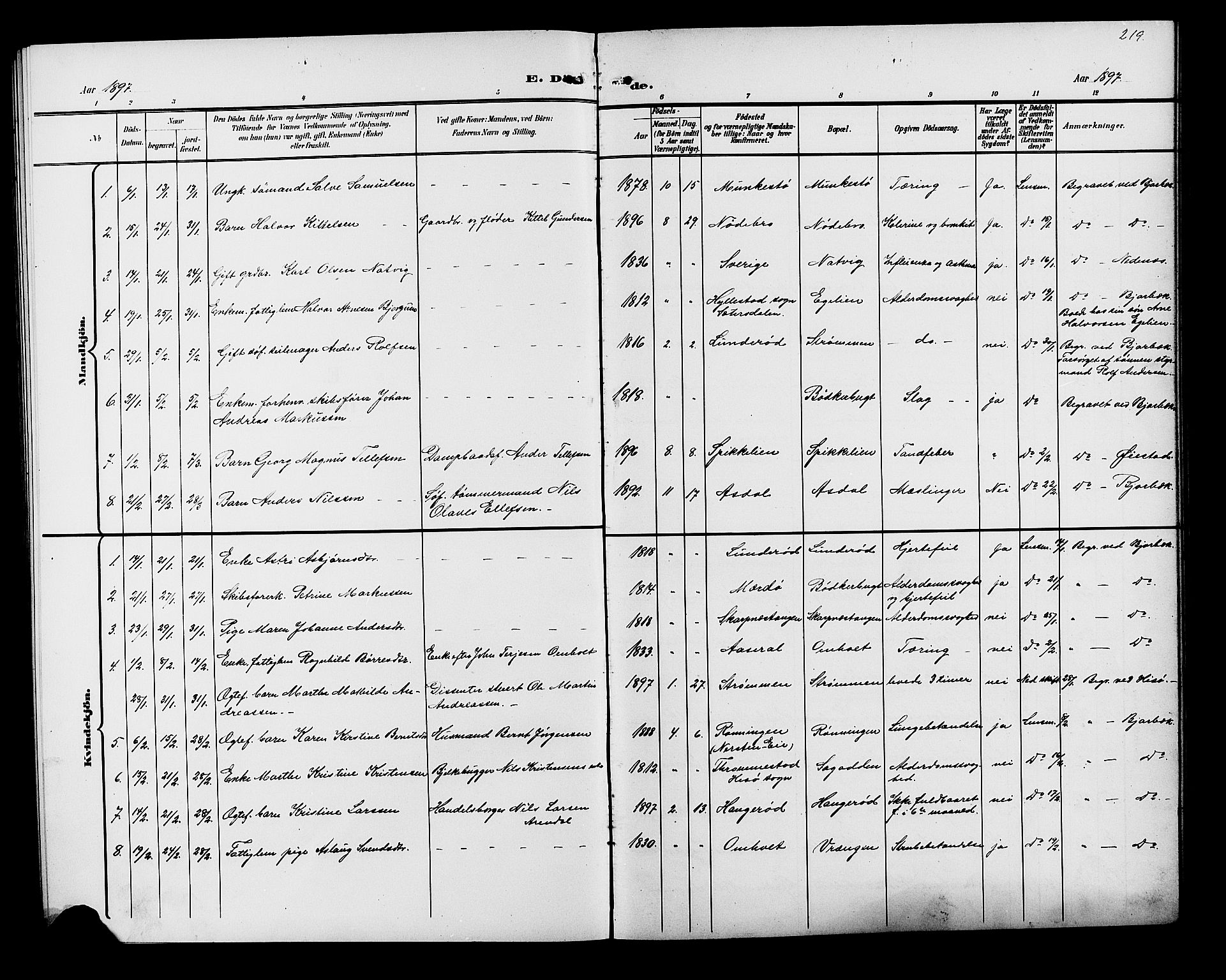 Øyestad sokneprestkontor, SAK/1111-0049/F/Fb/L0010: Parish register (copy) no. B 10, 1897-1906, p. 219