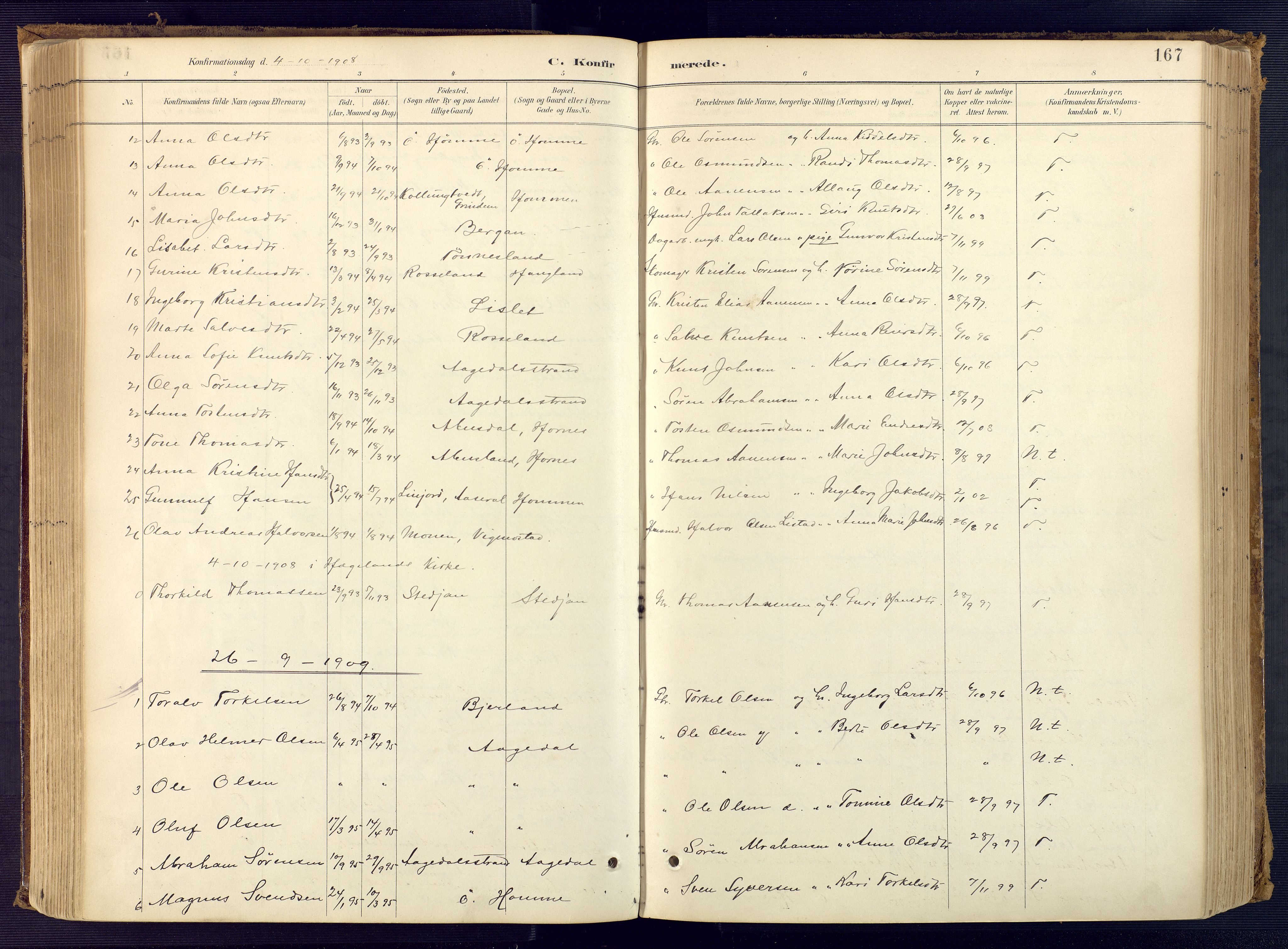 Bjelland sokneprestkontor, AV/SAK-1111-0005/F/Fa/Faa/L0004: Parish register (official) no. A 4, 1887-1923, p. 167