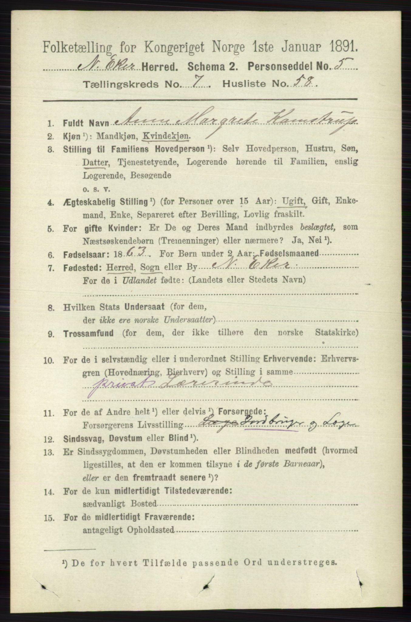 RA, 1891 census for 0625 Nedre Eiker, 1891, p. 3820