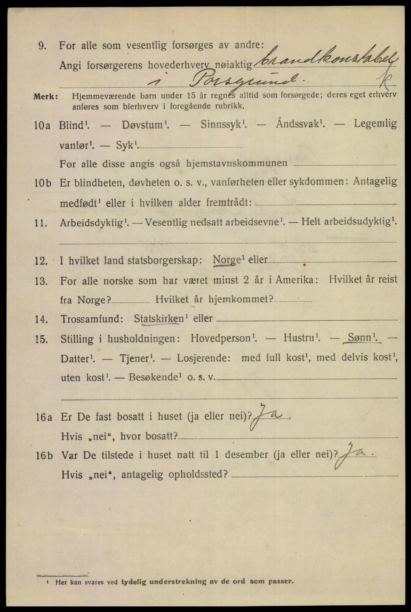 SAKO, 1920 census for Porsgrunn, 1920, p. 17400