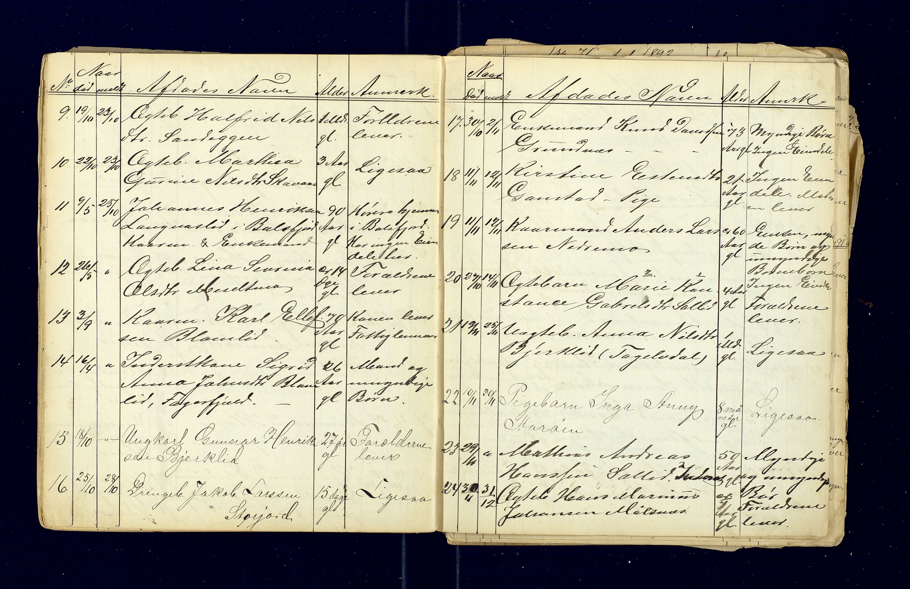Målselv lensmannskontor, AV/SATØ-SATØ-68/F/Fi/Fia/L0167/0001: Dødsfallsprotokoller og dødsfallsmeldinger. / Dødsfallsprotokoller 1863-1972, 1863-1893