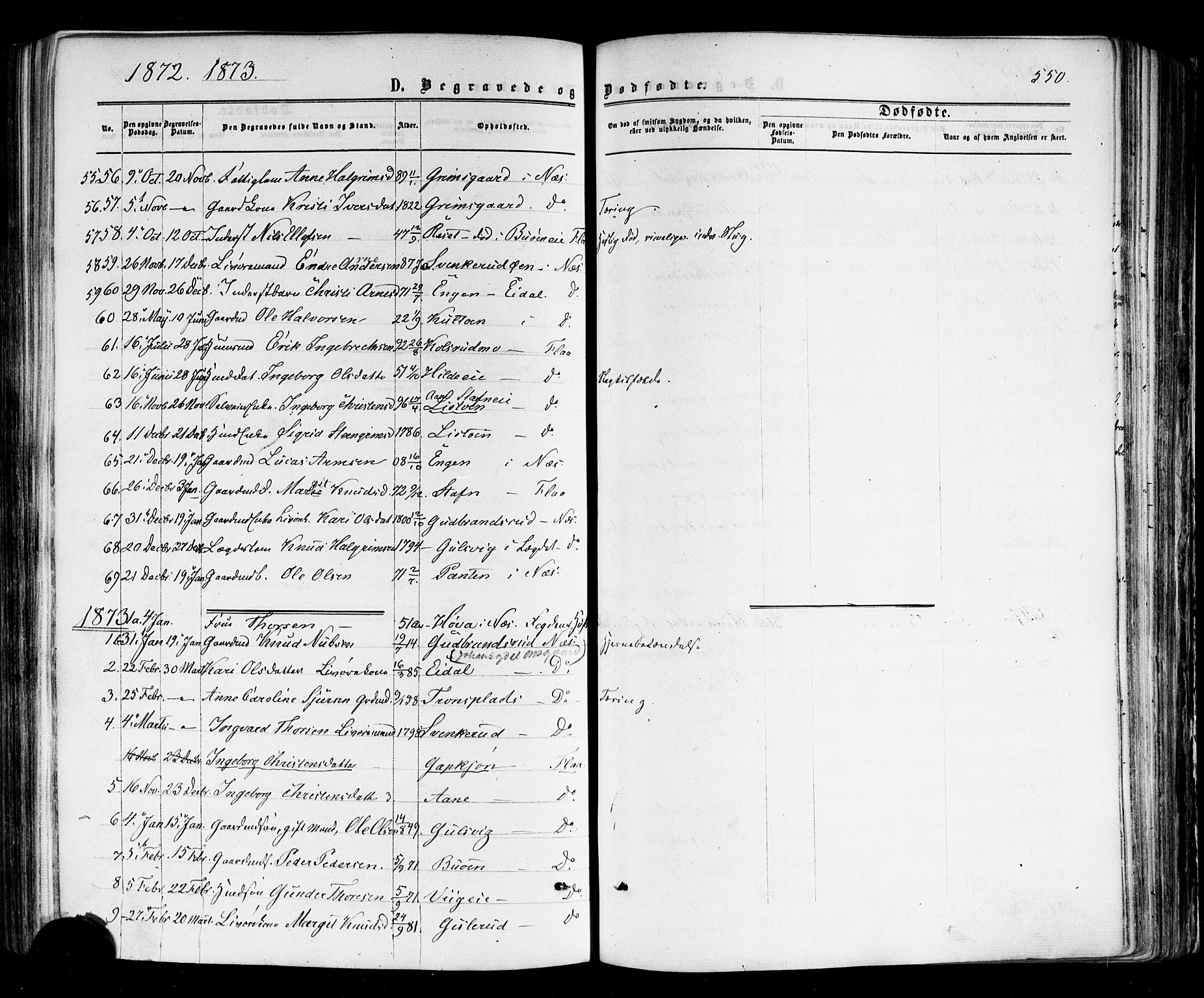 Nes kirkebøker, SAKO/A-236/F/Fa/L0010: Parish register (official) no. 10, 1864-1880, p. 550