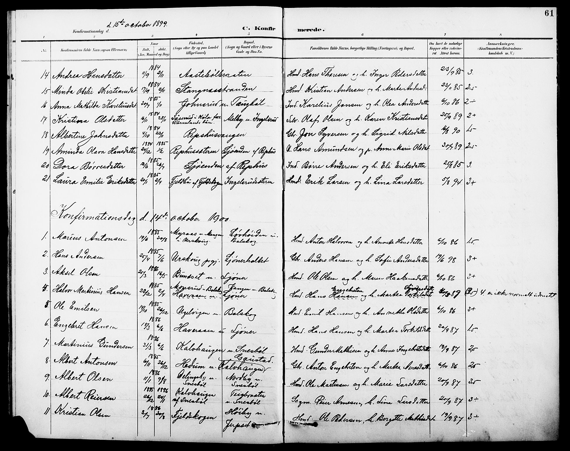 Eidskog prestekontor, AV/SAH-PREST-026/H/Ha/Hab/L0002: Parish register (copy) no. 2, 1895-1923, p. 61