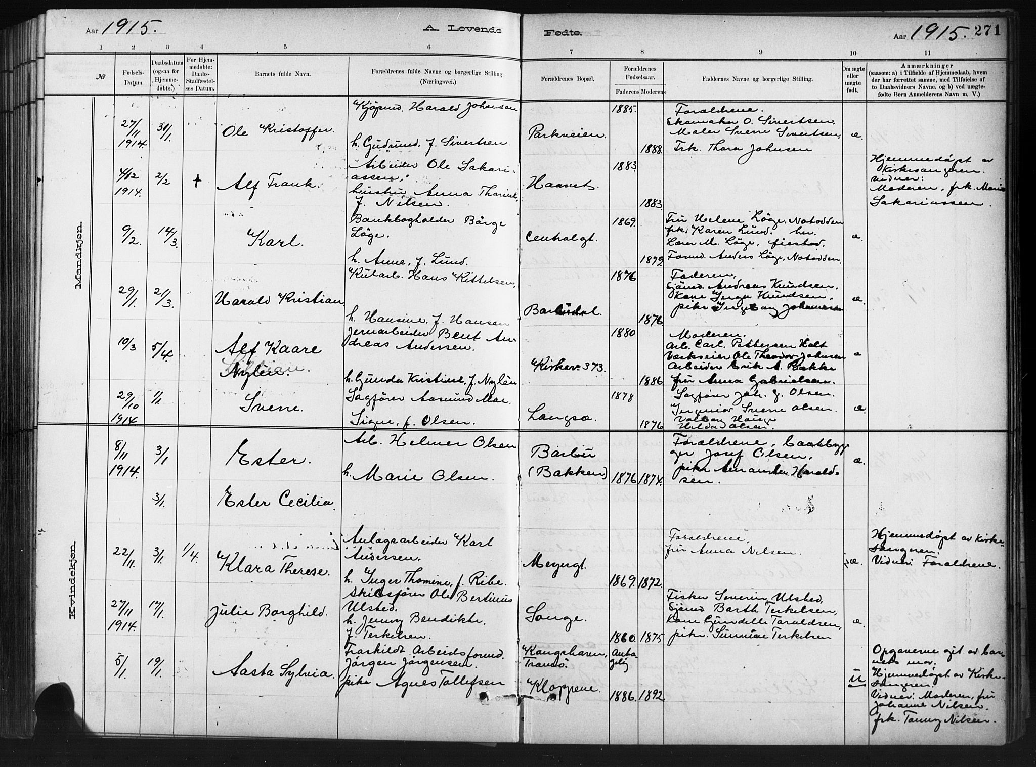 Barbu sokneprestkontor, AV/SAK-1111-0003/F/Fb/L0002: Parish register (copy) no. B 2, 1890-1922, p. 271