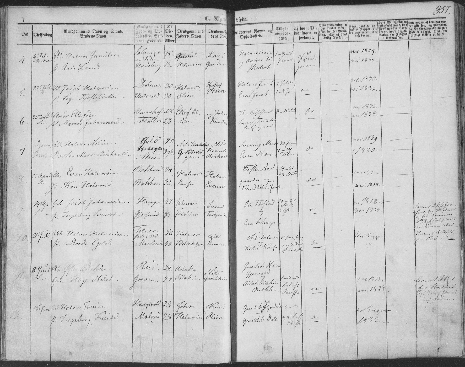 Seljord kirkebøker, SAKO/A-20/F/Fa/L012b: Parish register (official) no. I 12B, 1850-1865, p. 357