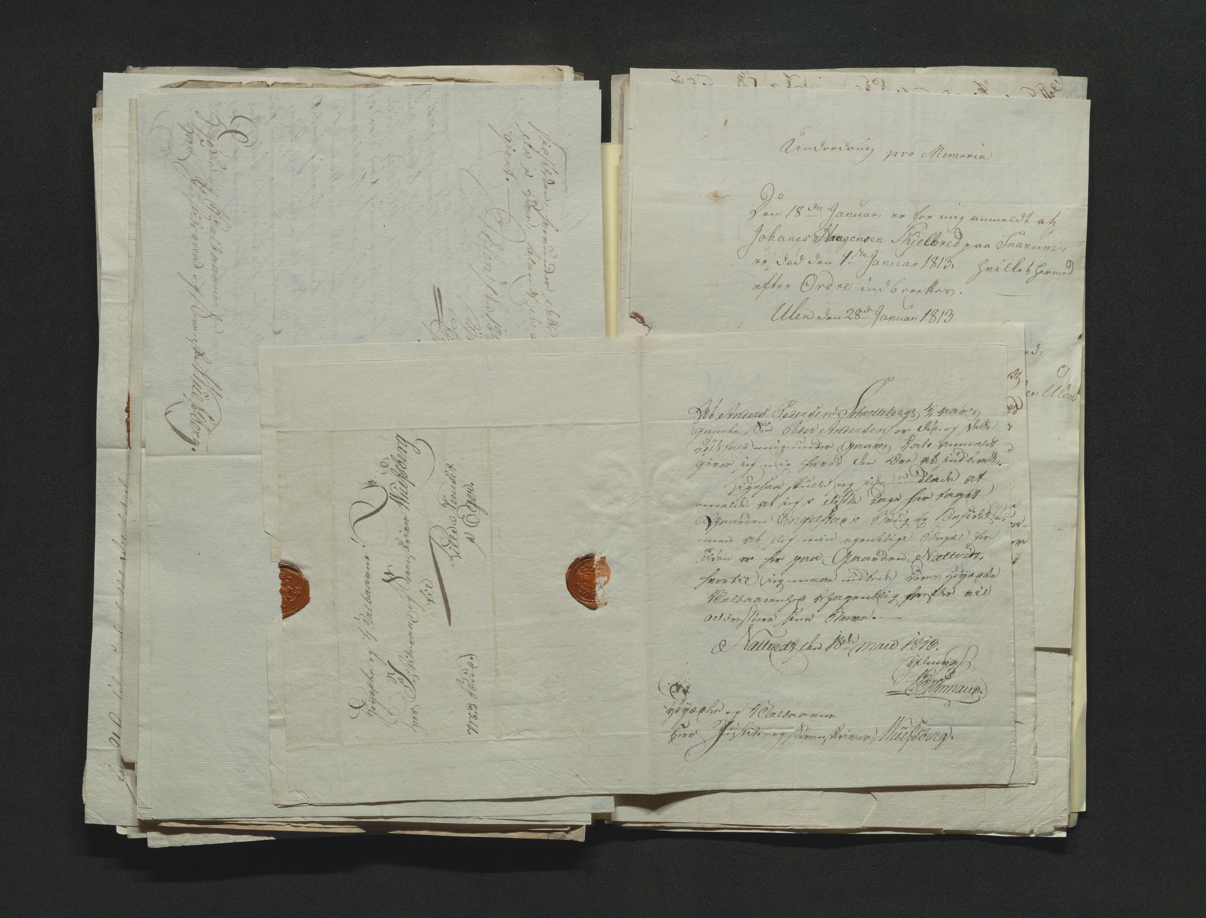 Eiker, Modum og Sigdal sorenskriveri, AV/SAKO-A-123/H/Ha/Hab/L0001: Dødsfallsmeldinger, 1812-1822, p. 99