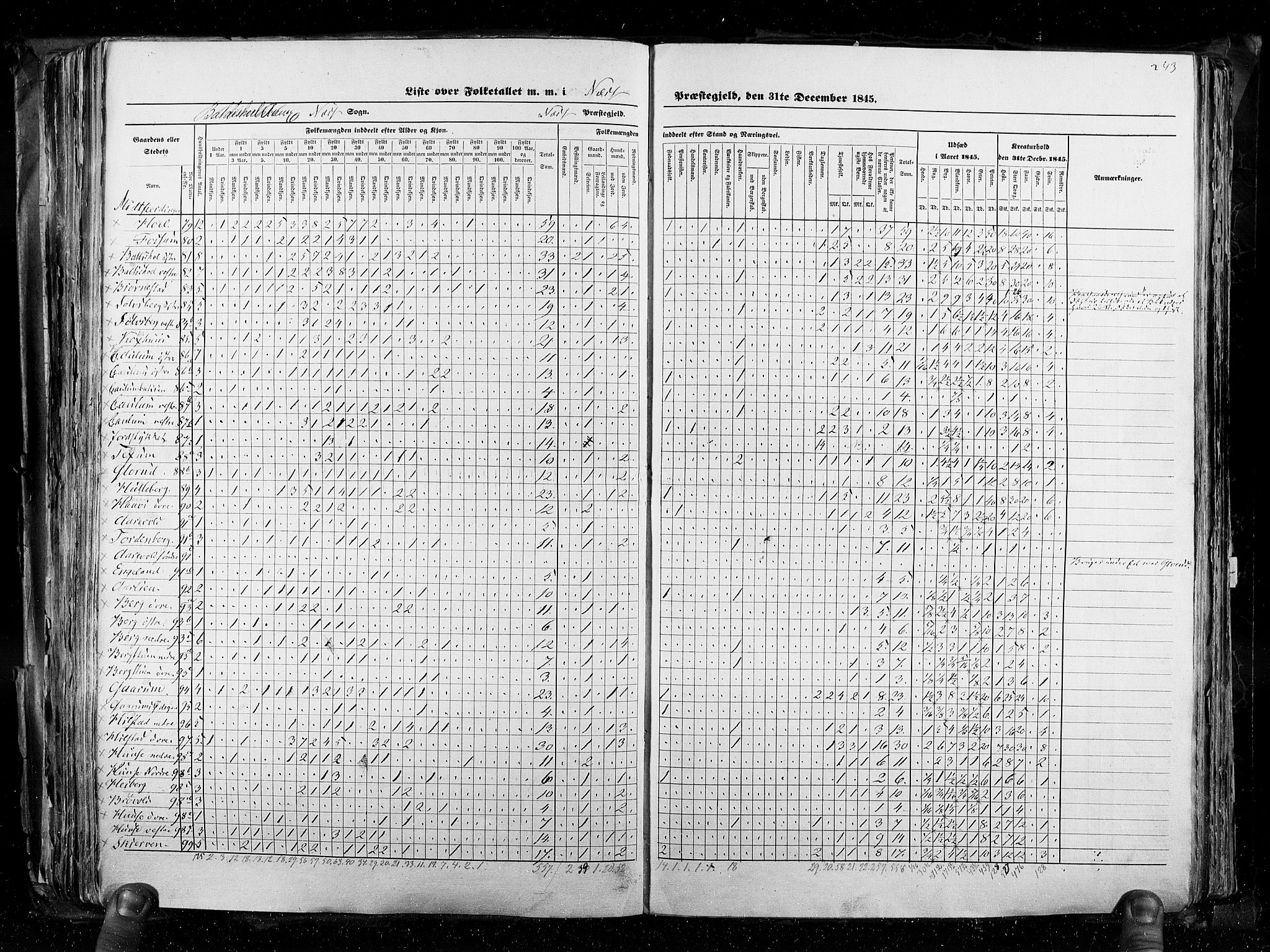 RA, Census 1845, vol. 3: Hedemarken amt og Kristians amt, 1845, p. 243