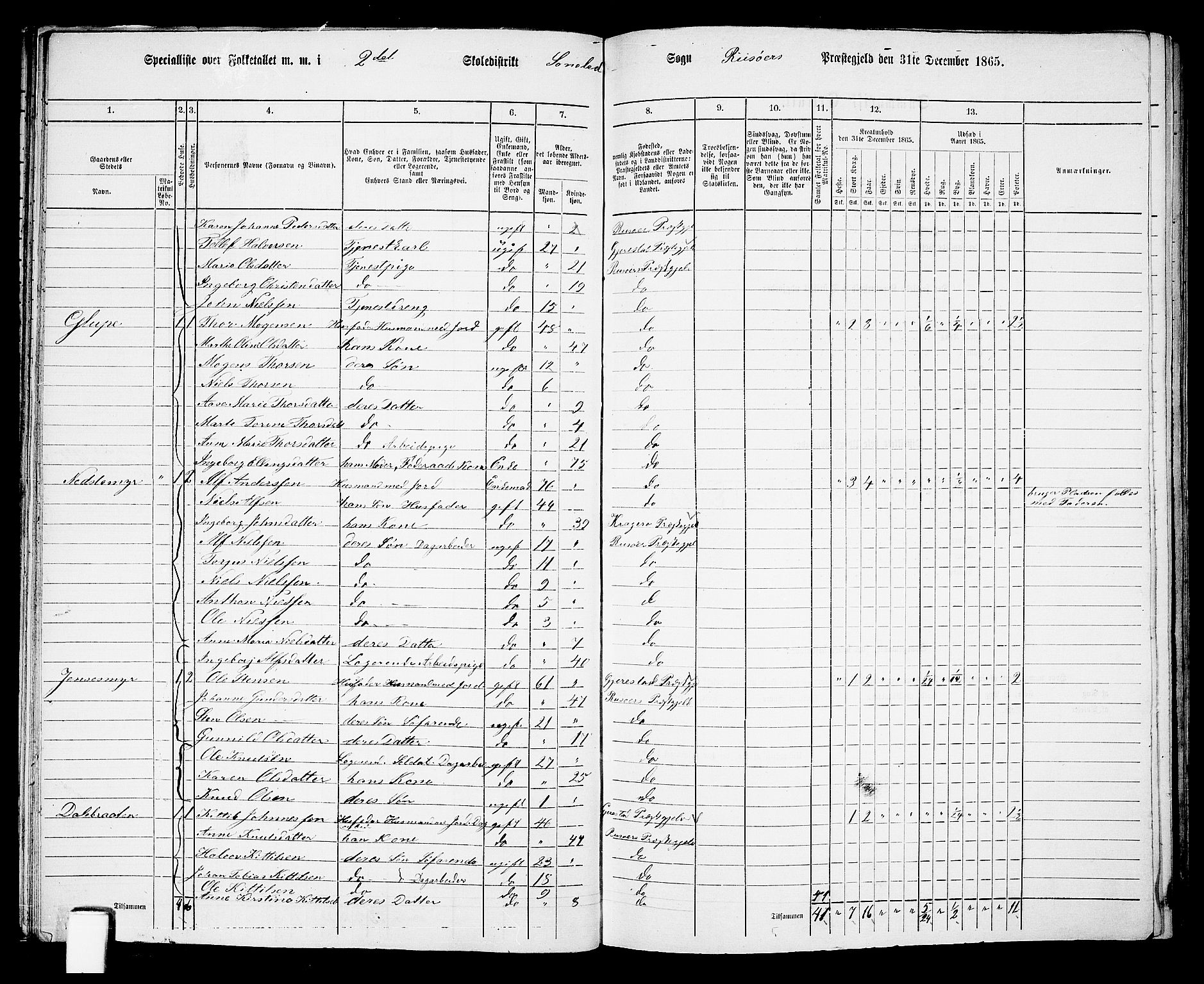 RA, 1865 census for Risør/Søndeled, 1865, p. 39