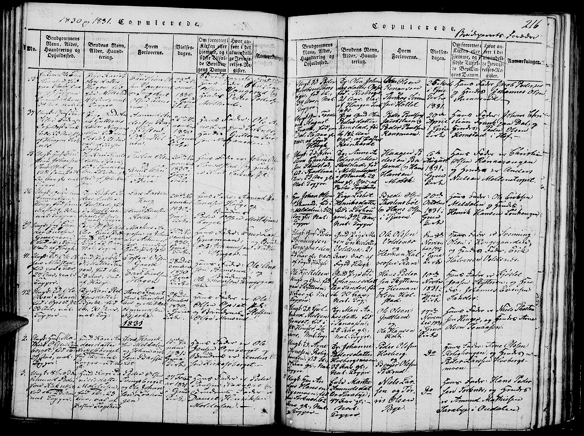 Grue prestekontor, SAH/PREST-036/H/Ha/Hab/L0002: Parish register (copy) no. 2, 1815-1841, p. 216
