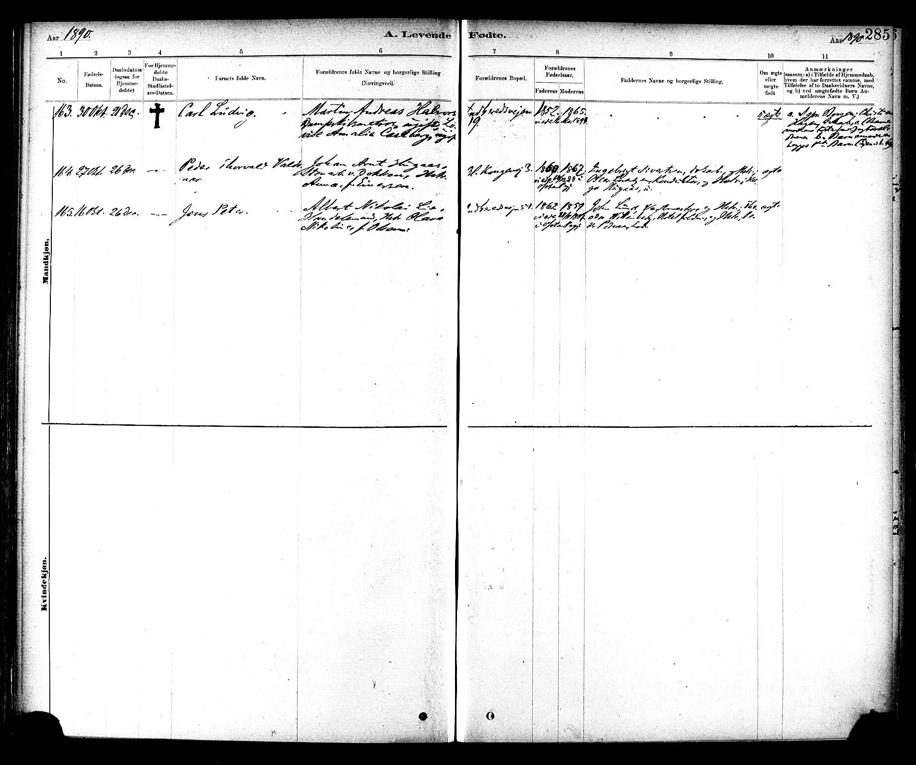 Ministerialprotokoller, klokkerbøker og fødselsregistre - Sør-Trøndelag, AV/SAT-A-1456/604/L0188: Parish register (official) no. 604A09, 1878-1892, p. 285