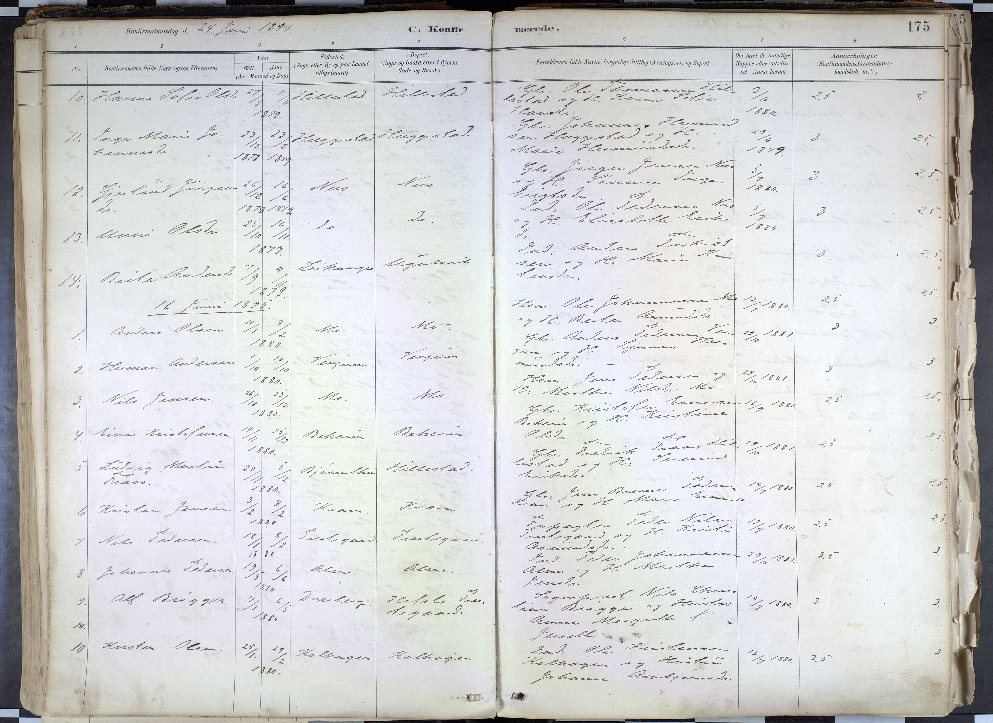 Hafslo sokneprestembete, AV/SAB-A-80301/H/Haa/Haab/L0001: Parish register (official) no. B 1, 1886-1945, p. 175