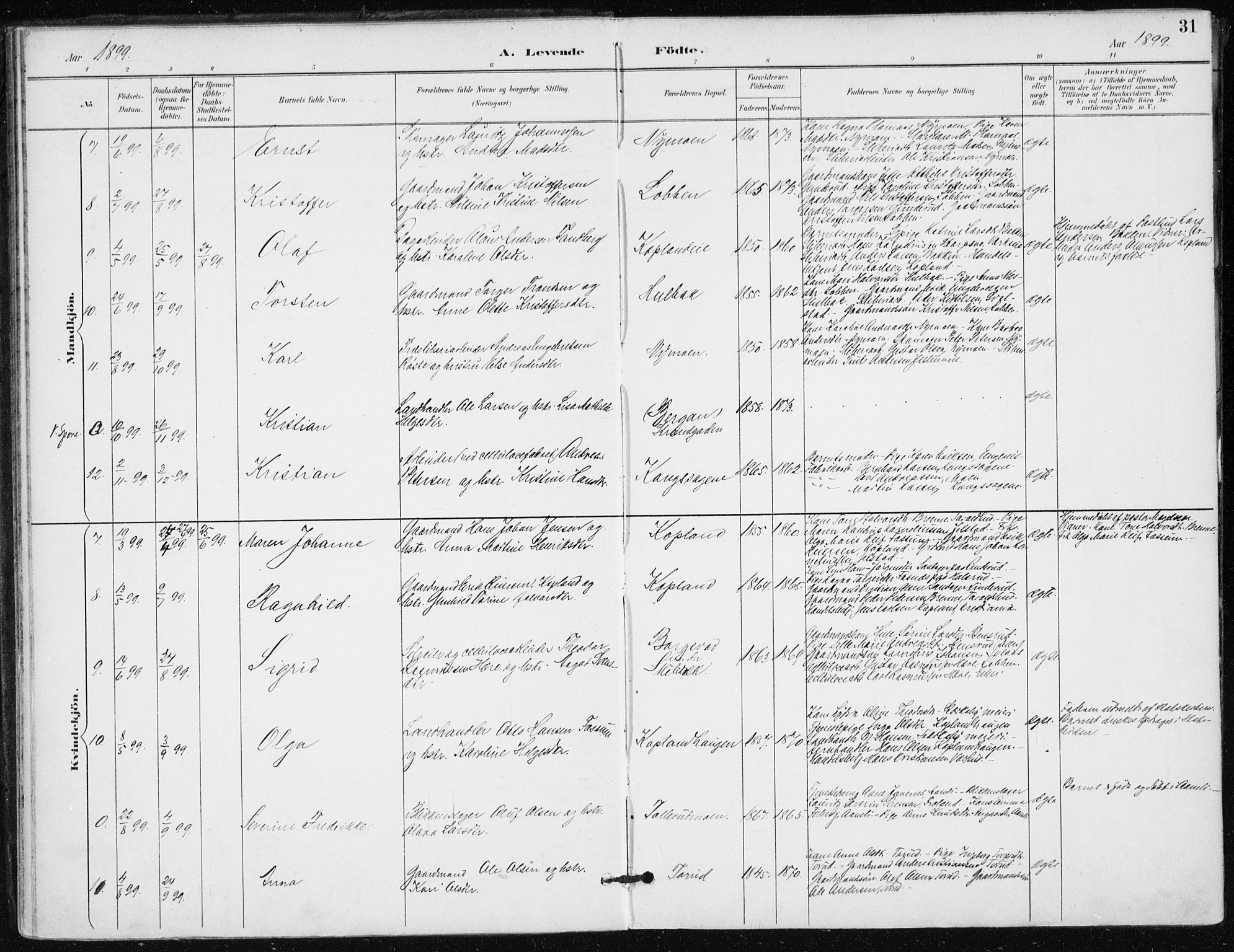 Modum kirkebøker, AV/SAKO-A-234/F/Fa/L0016: Parish register (official) no. 16, 1890-1899, p. 31