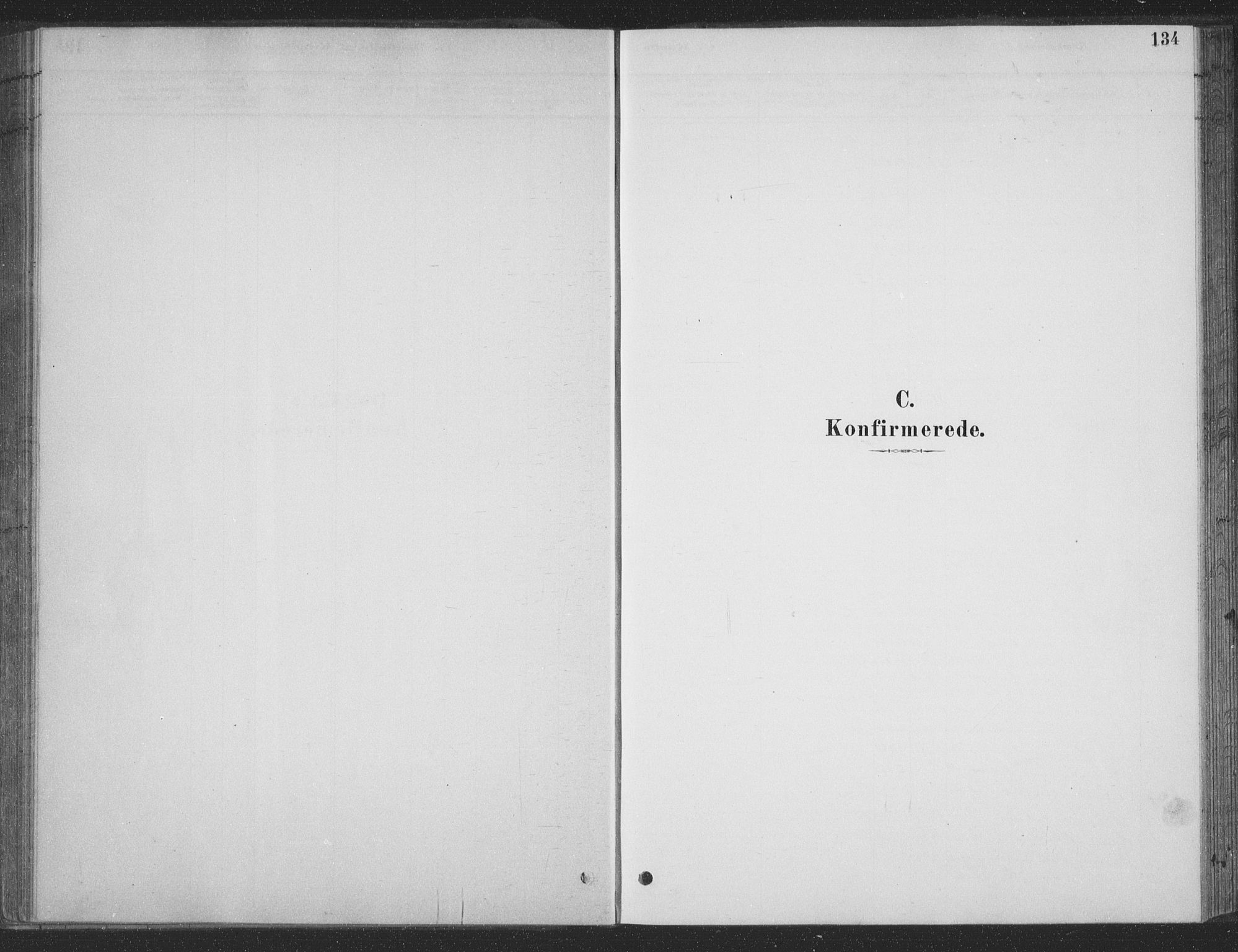 Ministerialprotokoller, klokkerbøker og fødselsregistre - Nordland, AV/SAT-A-1459/835/L0532: Parish register (copy) no. 835C04, 1880-1905, p. 134