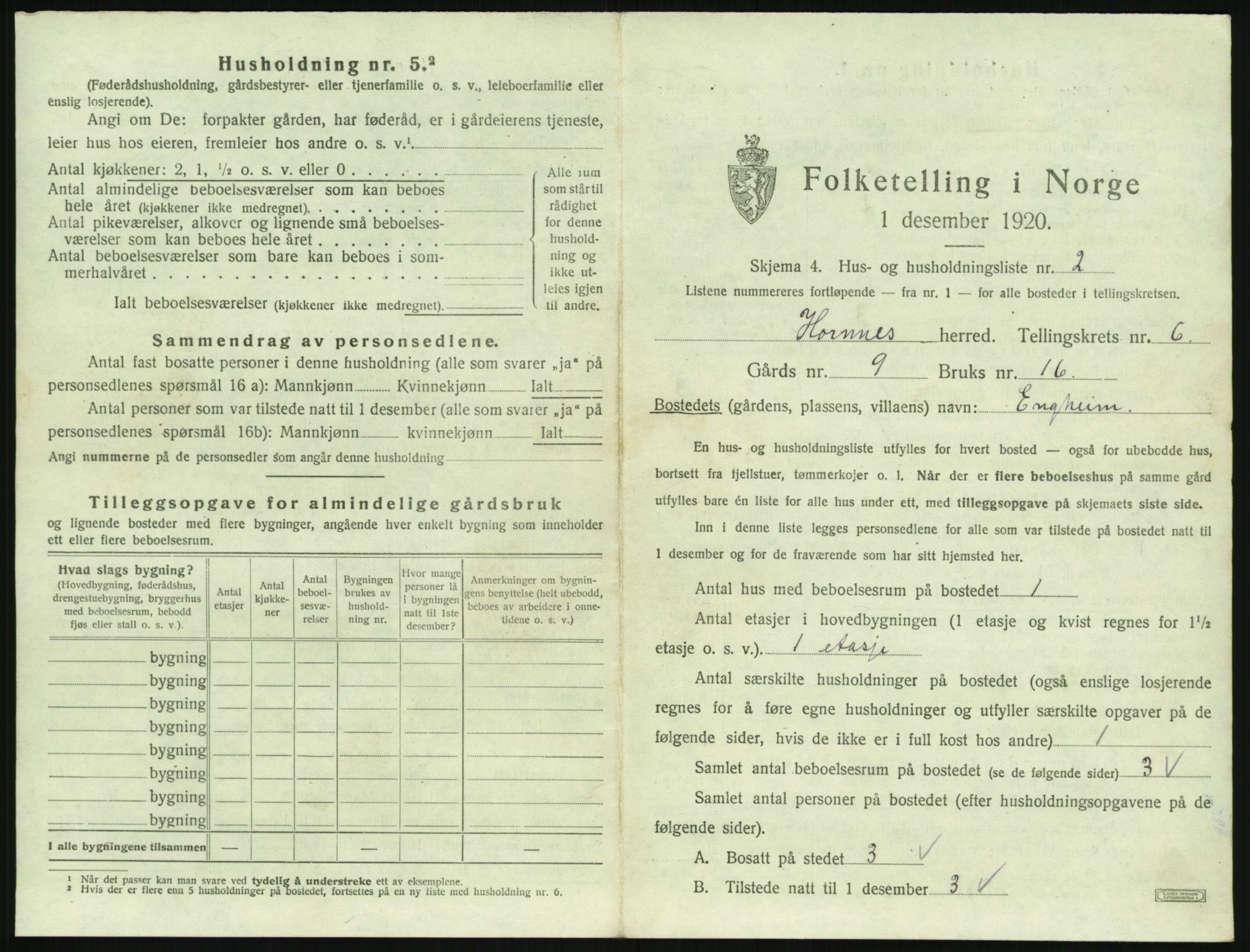 SAK, 1920 census for Hornnes, 1920, p. 247