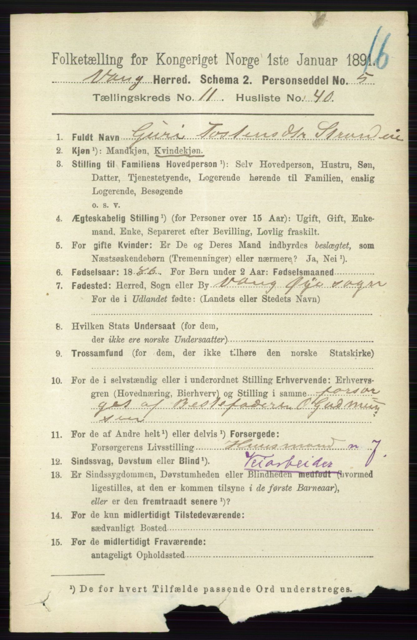 RA, 1891 census for 0545 Vang, 1891, p. 2610