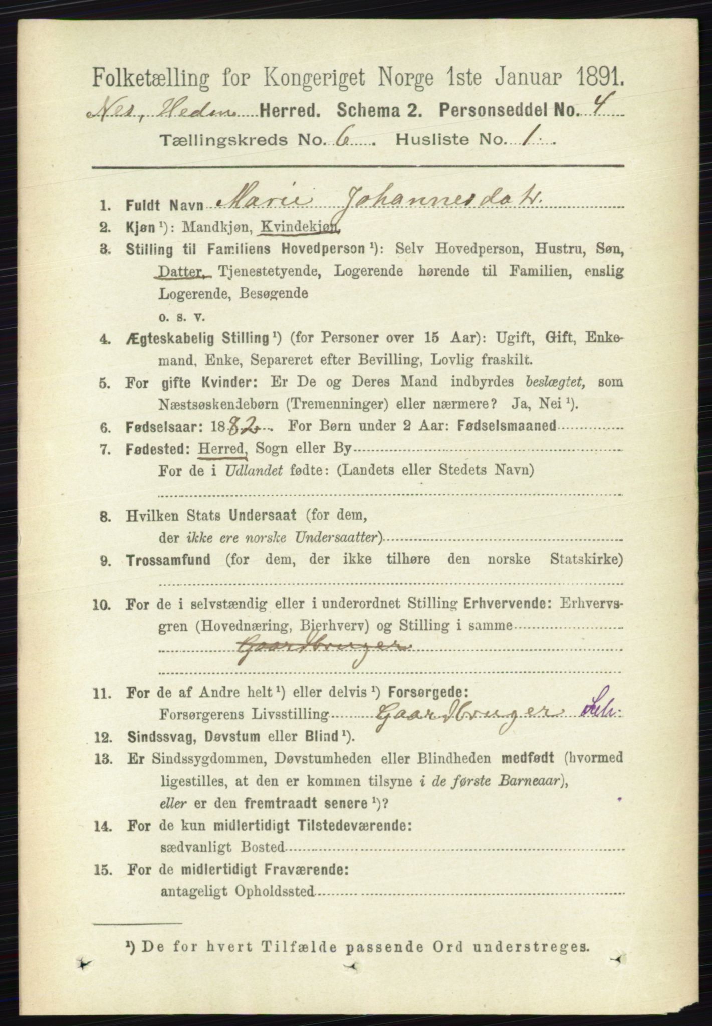 RA, 1891 census for 0411 Nes, 1891, p. 3270