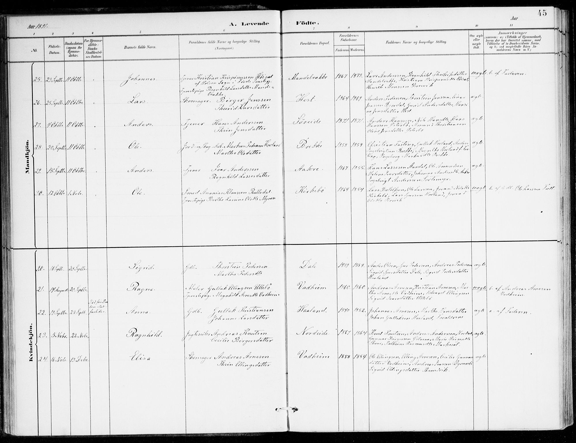 Lavik sokneprestembete, AV/SAB-A-80901: Parish register (official) no. C 1, 1882-1904, p. 45