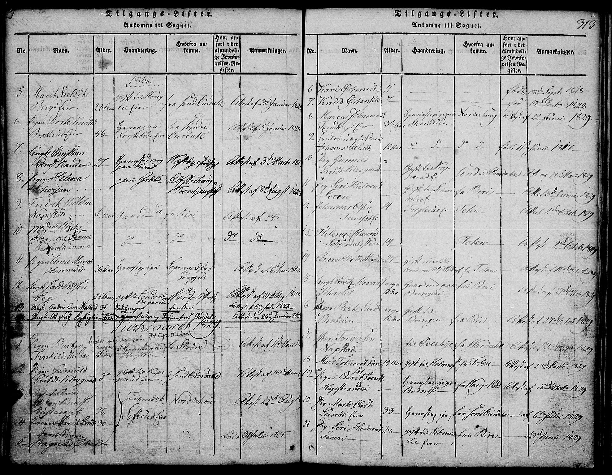 Land prestekontor, SAH/PREST-120/H/Ha/Hab/L0001: Parish register (copy) no. 1, 1814-1833, p. 313