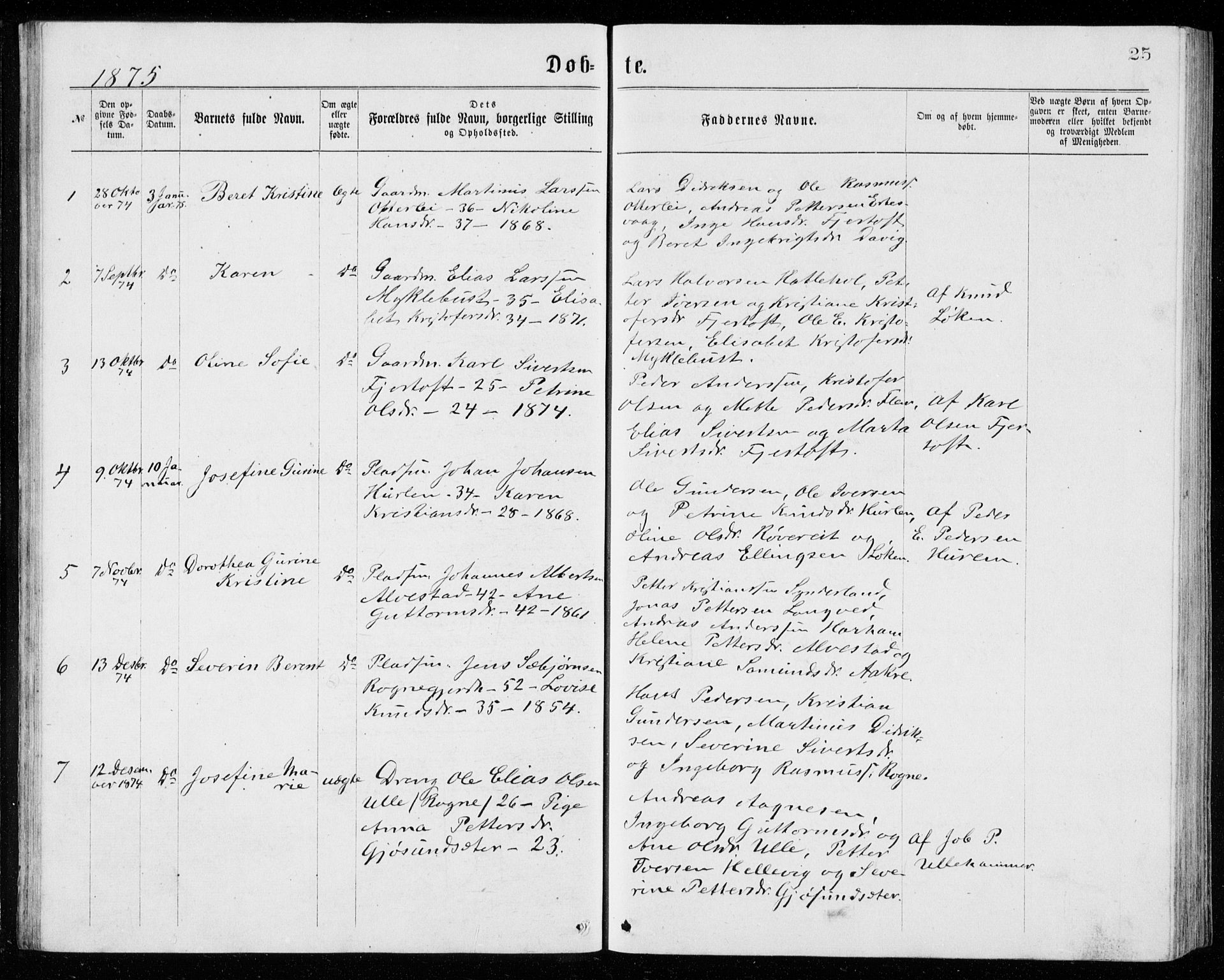 Ministerialprotokoller, klokkerbøker og fødselsregistre - Møre og Romsdal, AV/SAT-A-1454/536/L0509: Parish register (copy) no. 536C04, 1871-1881, p. 25