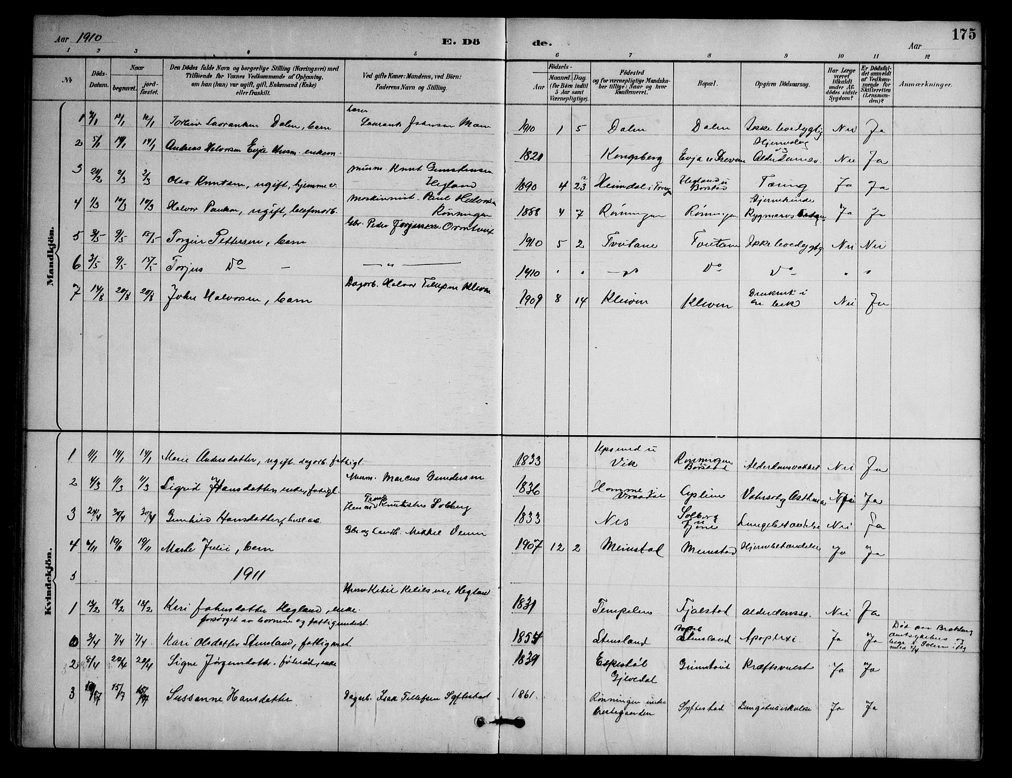 Nissedal kirkebøker, SAKO/A-288/G/Ga/L0003: Parish register (copy) no. I 3, 1887-1911, p. 175