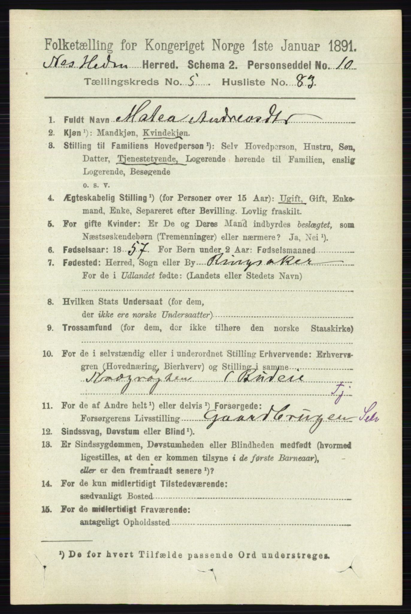 RA, 1891 census for 0411 Nes, 1891, p. 3148