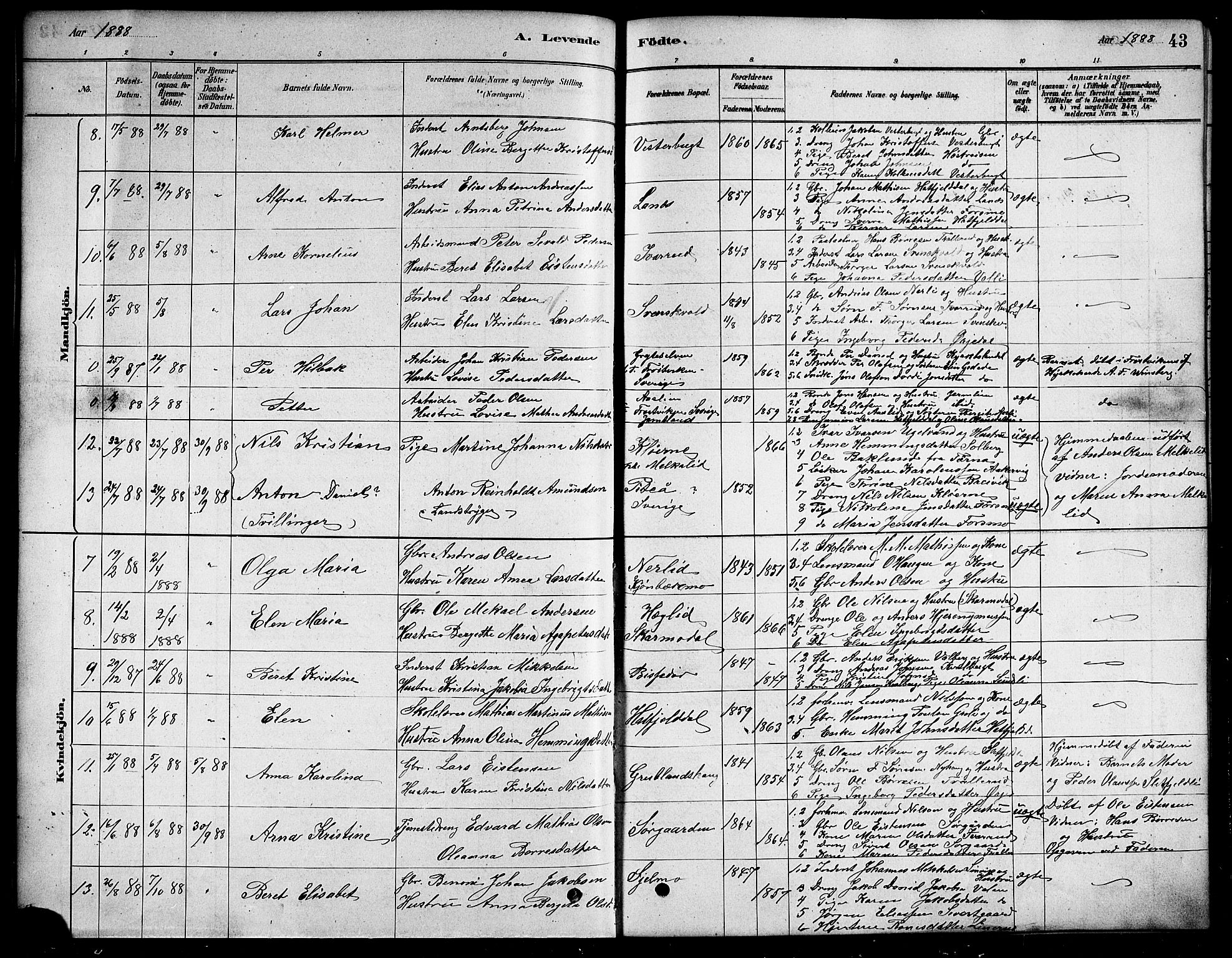 Ministerialprotokoller, klokkerbøker og fødselsregistre - Nordland, SAT/A-1459/823/L0330: Parish register (copy) no. 823C02, 1879-1916, p. 43