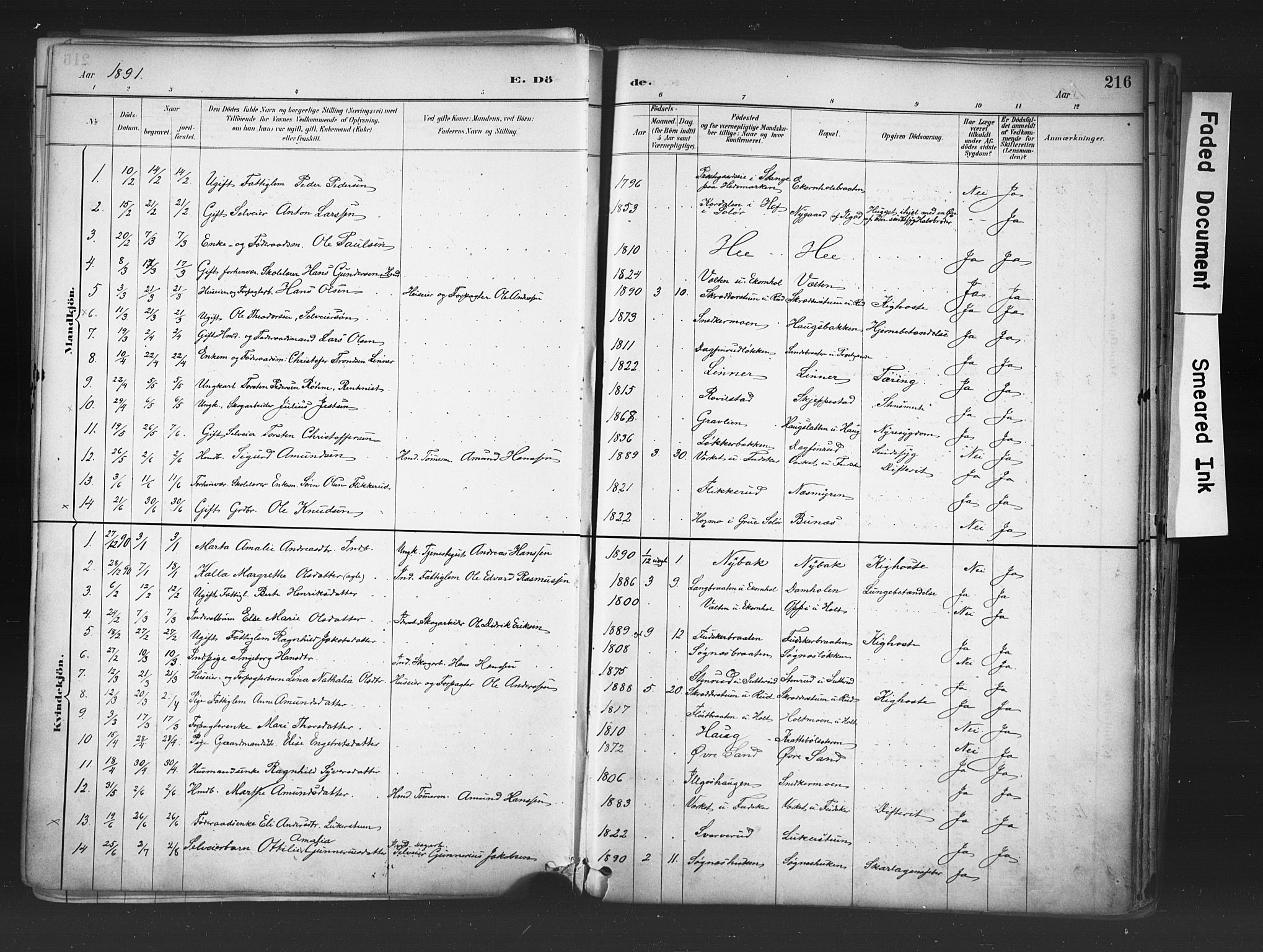 Nord-Odal prestekontor, AV/SAH-PREST-032/H/Ha/Haa/L0006: Parish register (official) no. 6, 1886-1901, p. 216