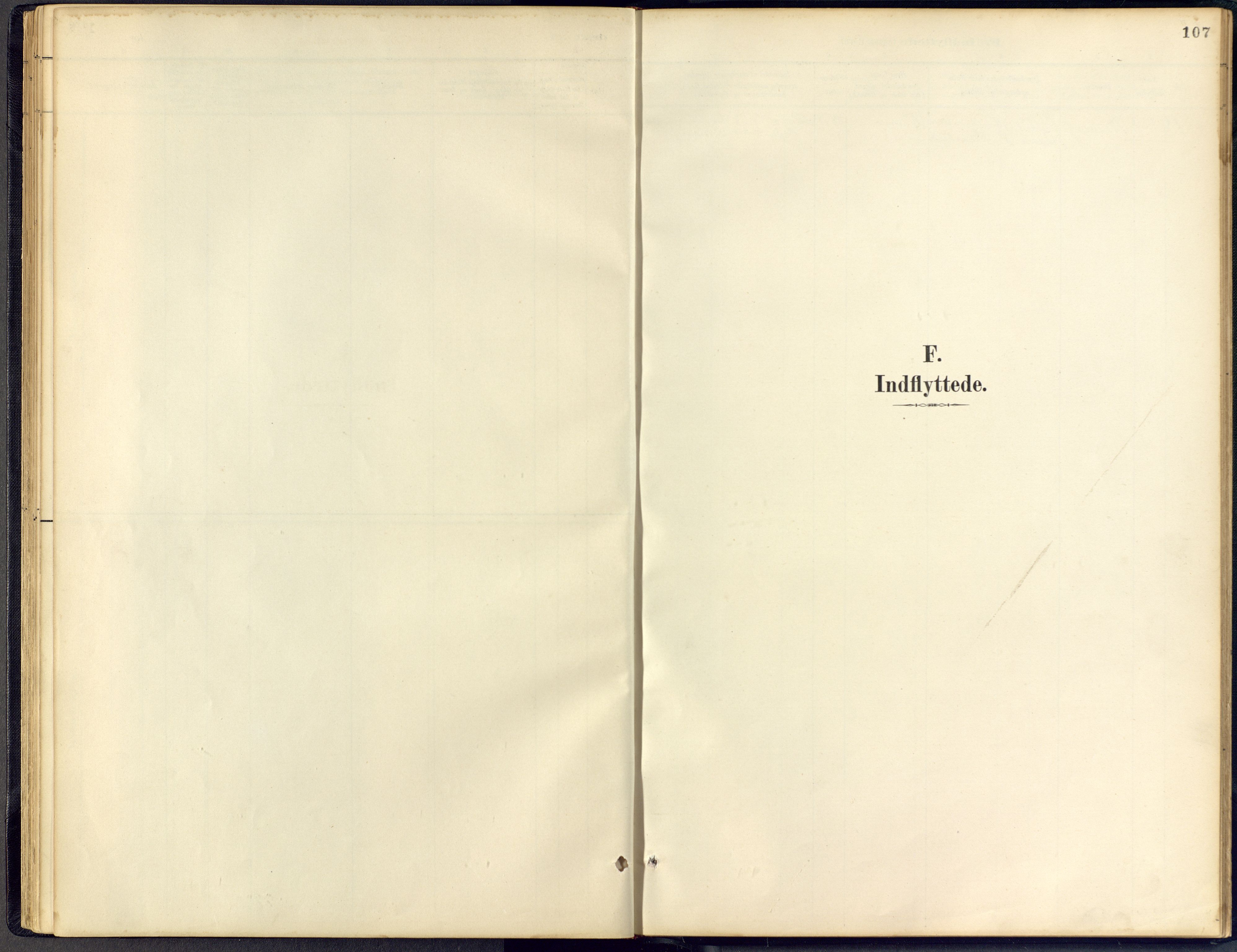Vinje kirkebøker, SAKO/A-312/F/Fb/L0002: Parish register (official) no. II 2, 1887-1925, p. 107