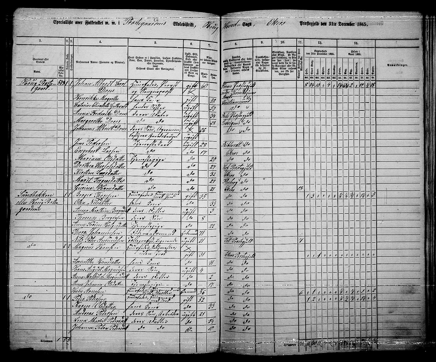 RA, 1865 census for Eiker, 1865, p. 173