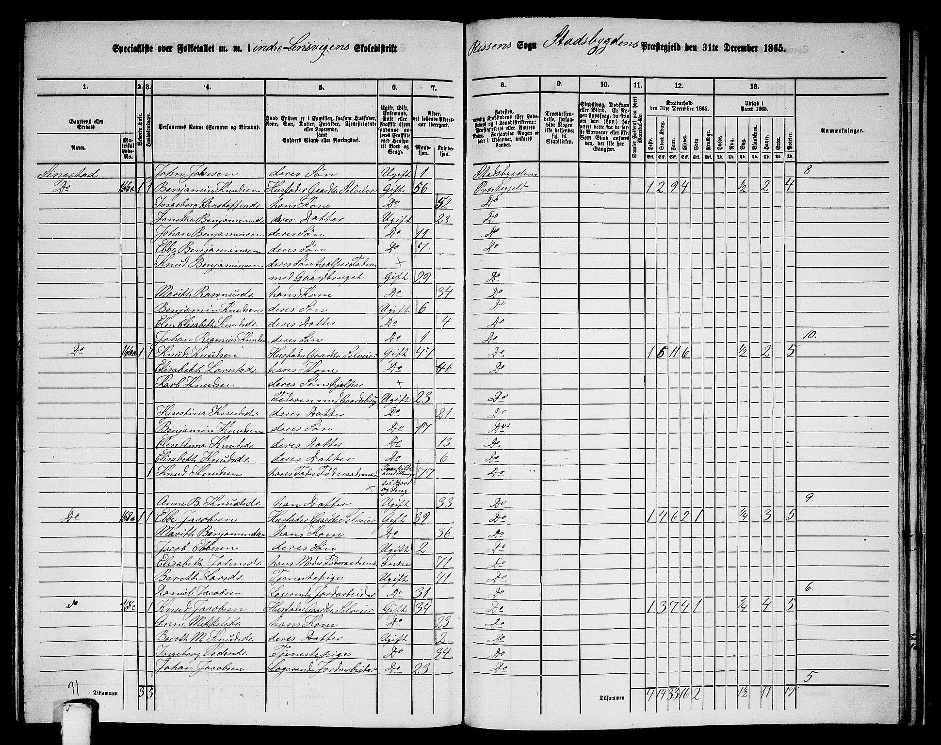 RA, 1865 census for Stadsbygd, 1865, p. 199