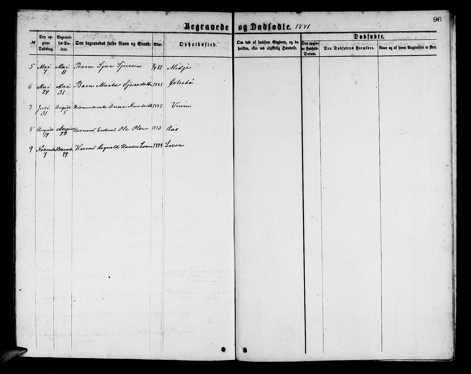 Aurland sokneprestembete, AV/SAB-A-99937/H/Hb/Hba/L0001: Parish register (copy) no. A 1, 1868-1881, p. 96