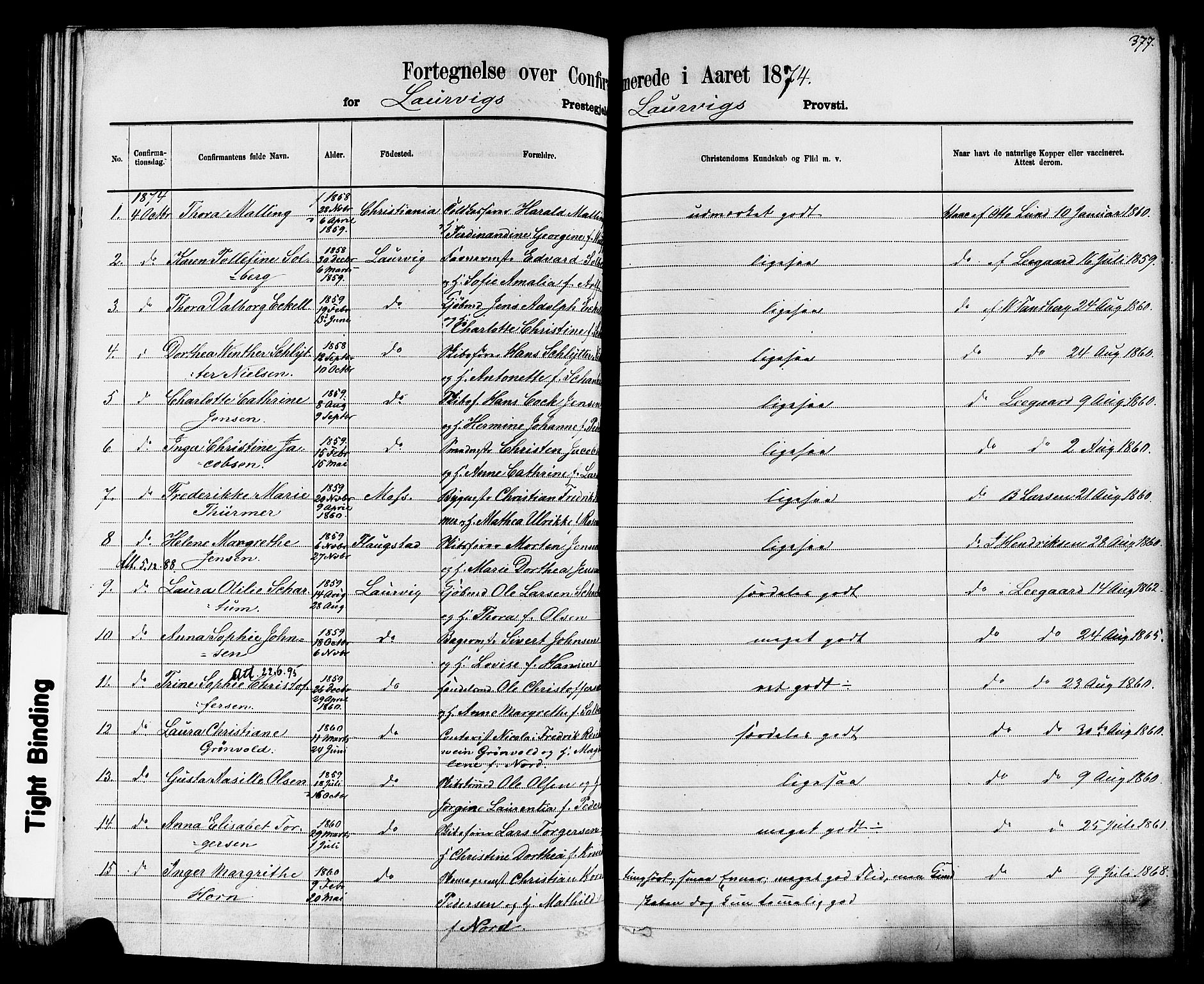 Larvik kirkebøker, AV/SAKO-A-352/F/Fa/L0006: Parish register (official) no. I 6, 1871-1883, p. 377