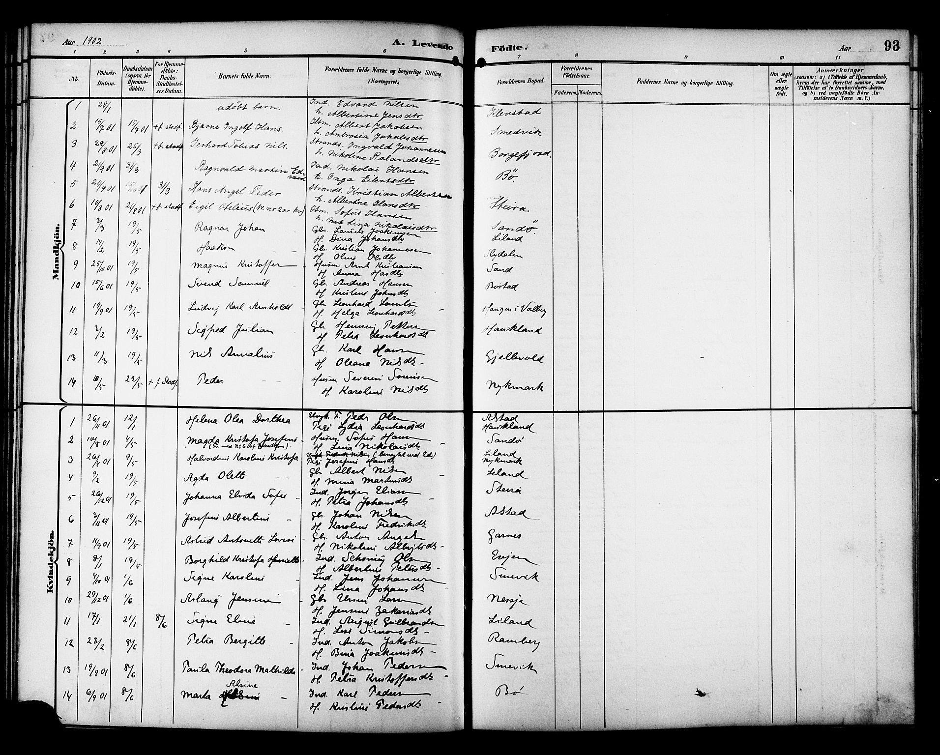 Ministerialprotokoller, klokkerbøker og fødselsregistre - Nordland, AV/SAT-A-1459/880/L1141: Parish register (copy) no. 880C03, 1893-1928, p. 93