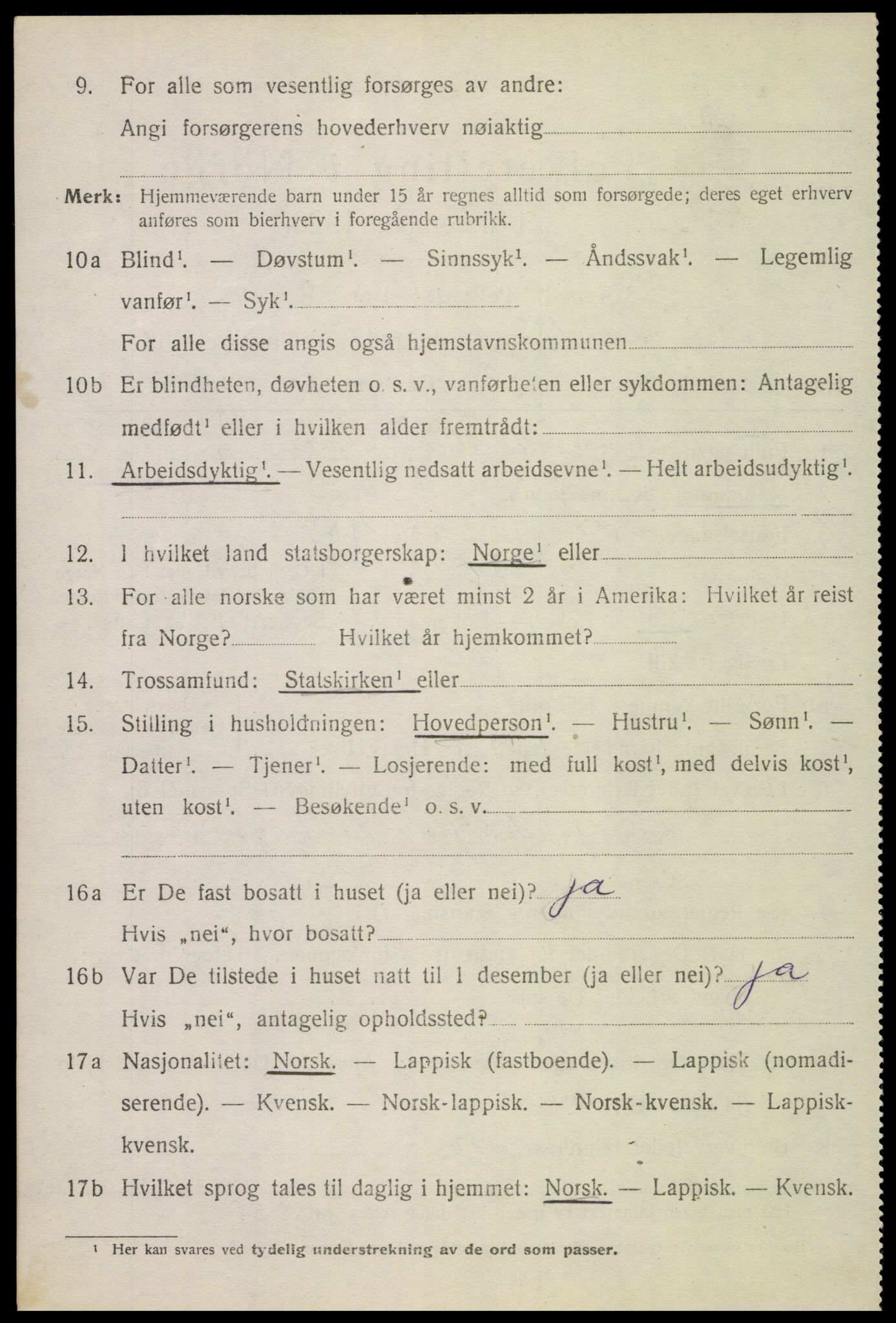 SAT, 1920 census for Bø, 1920, p. 2319